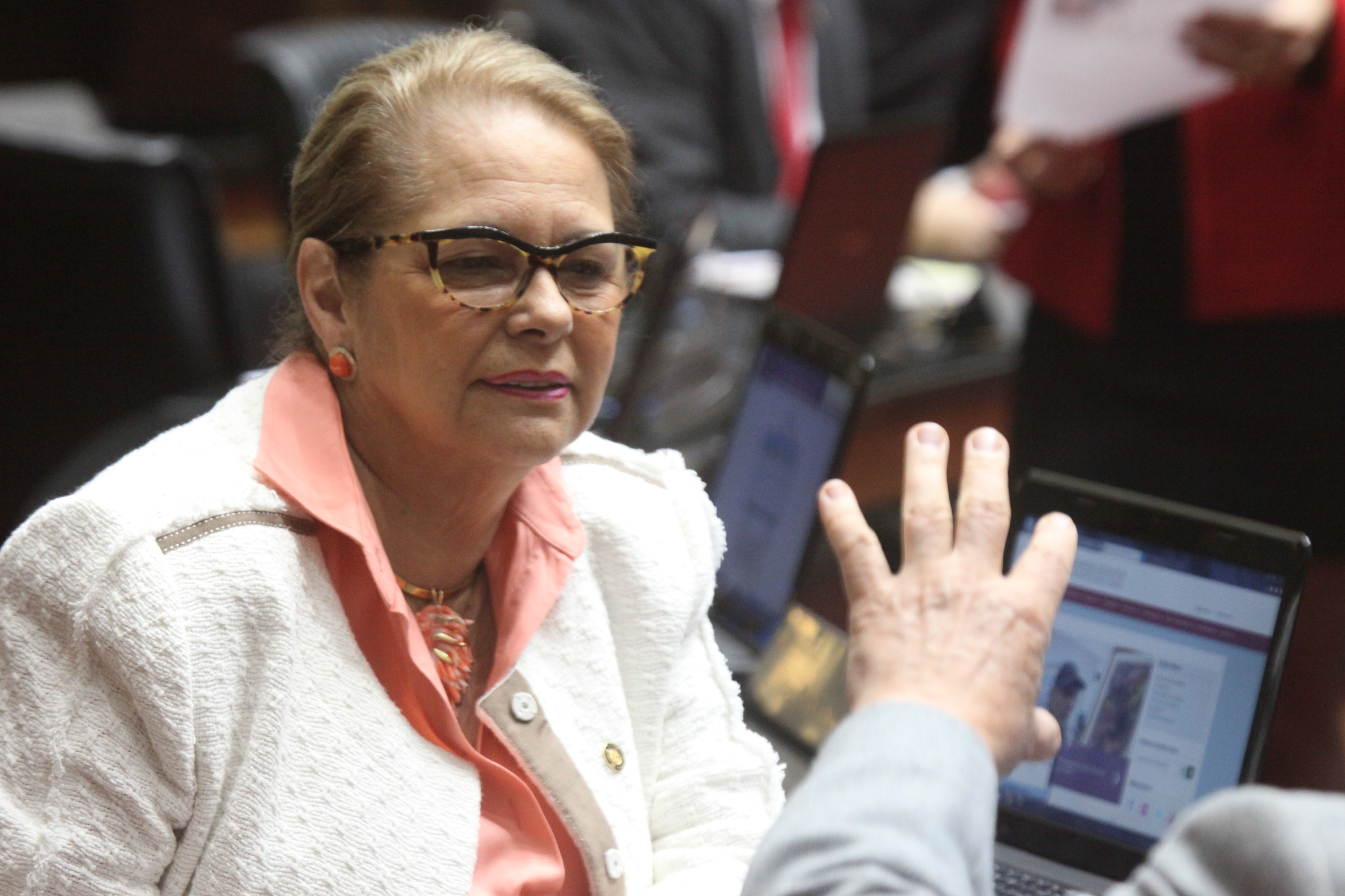 Sessão Ordinária. Foto: Fábio Queiroz / Agência AL