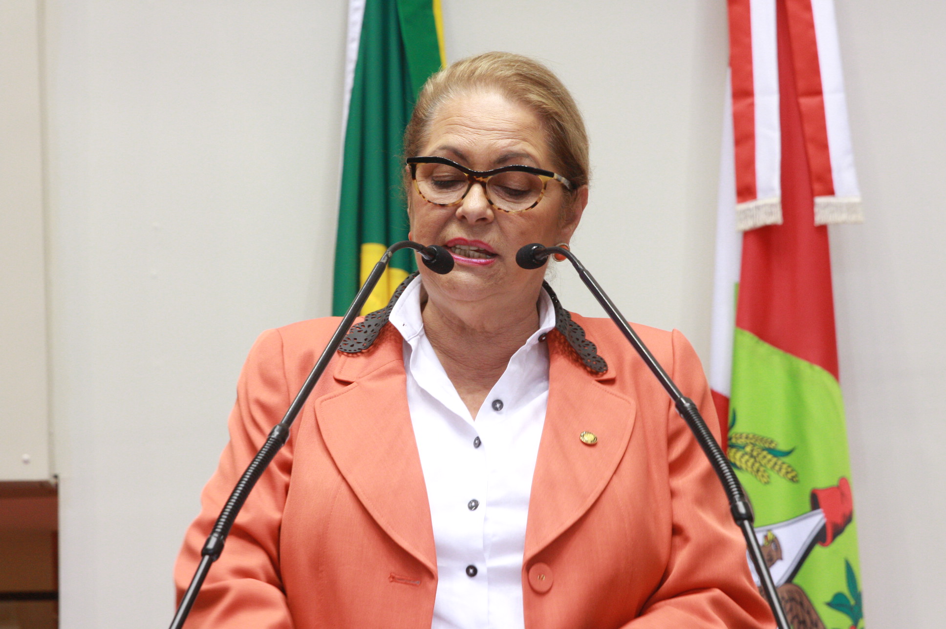 Deputada Ada de Luca (PMDB) - Sessão Ordinária. Plenário Osni Regis. Foto:Eduardo Guedes de Oliveira/Agência AL