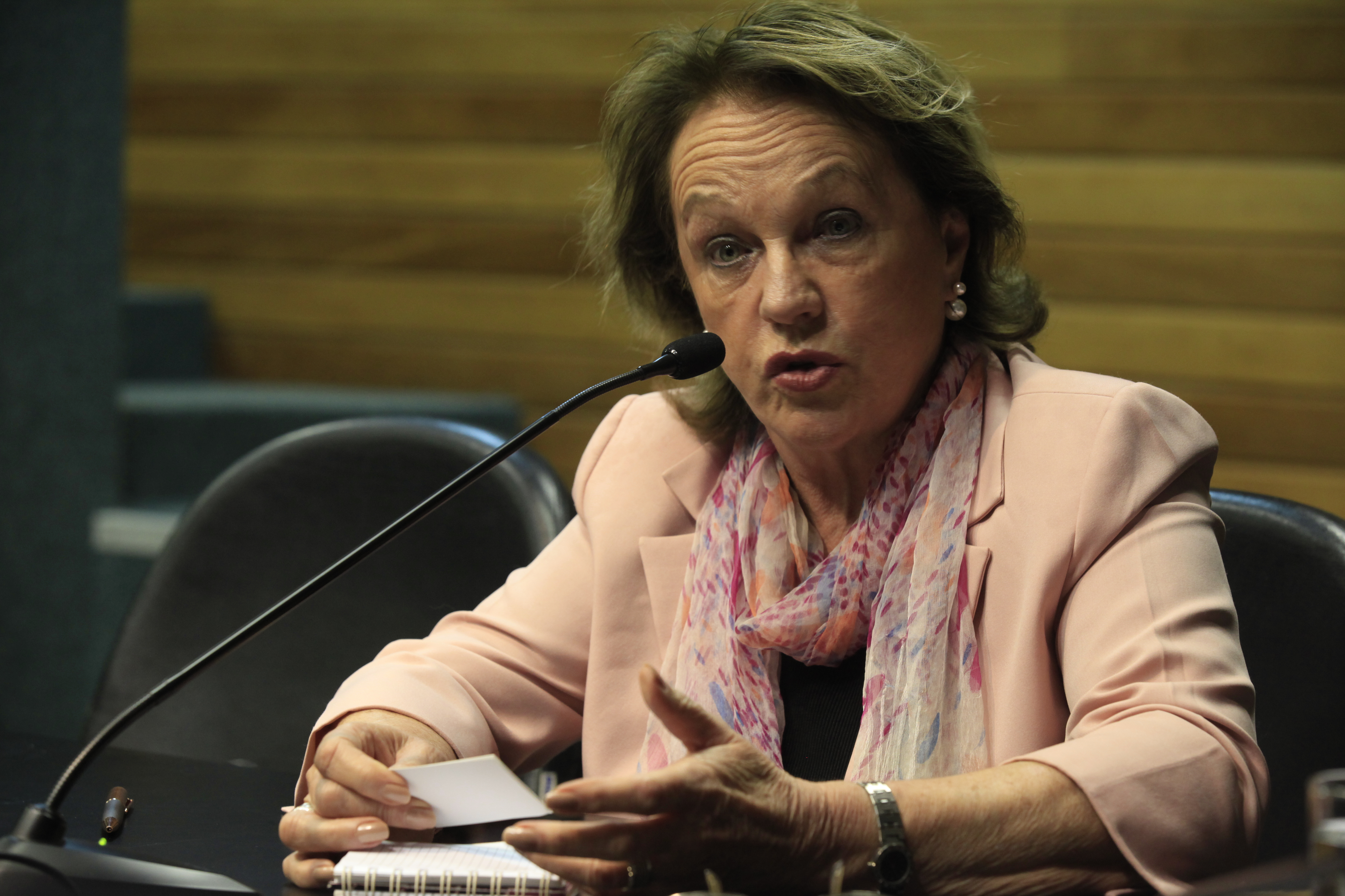 Reunião da Comissão de Verdade e Justiça. Depoente, Anita Pires. Foto: Carlos Kilian/Agência AL