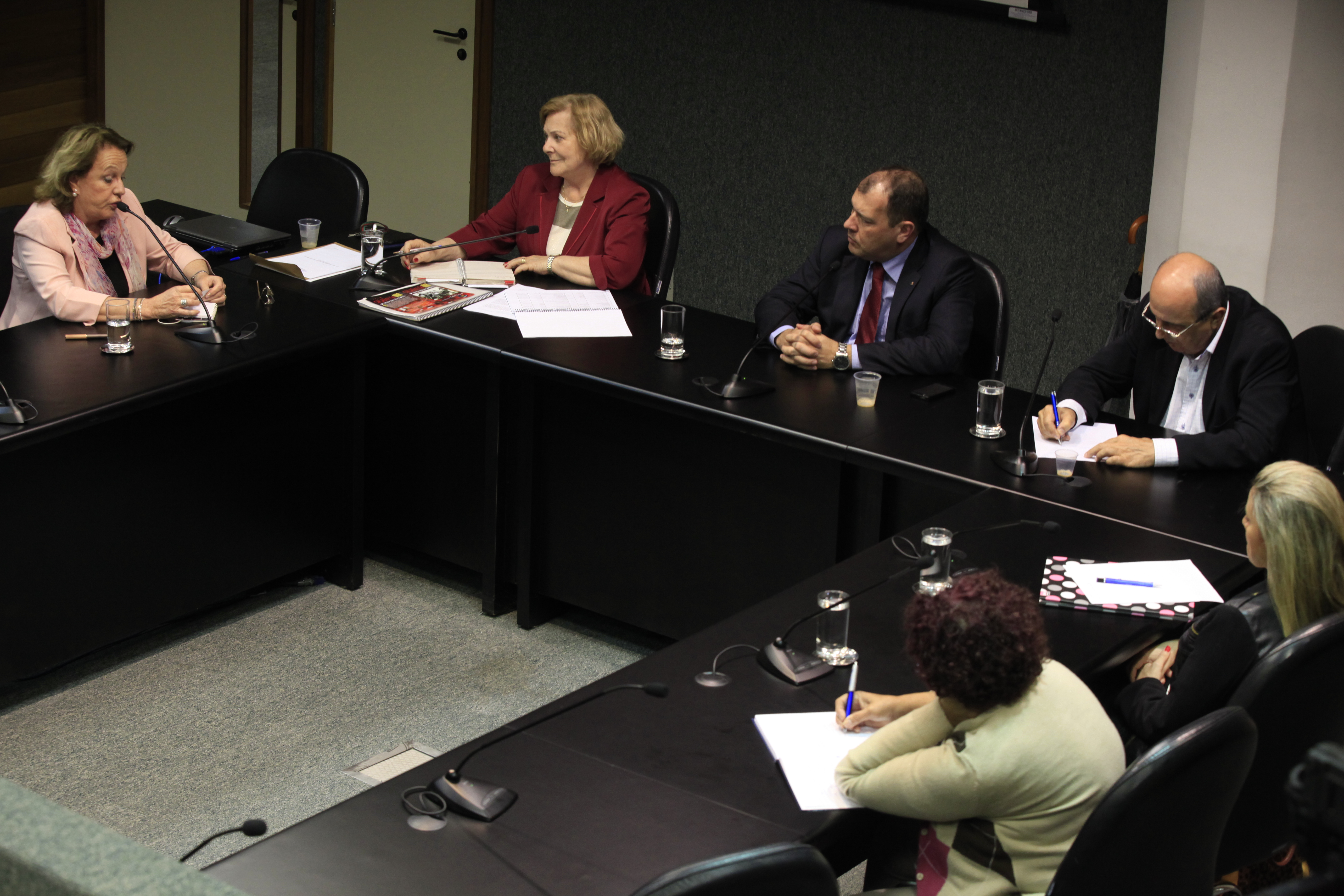 Reunião da Comissão de Verdade e Justiça. Depoente, Anita Pires. Foto: Carlos Kilian/Agência AL
