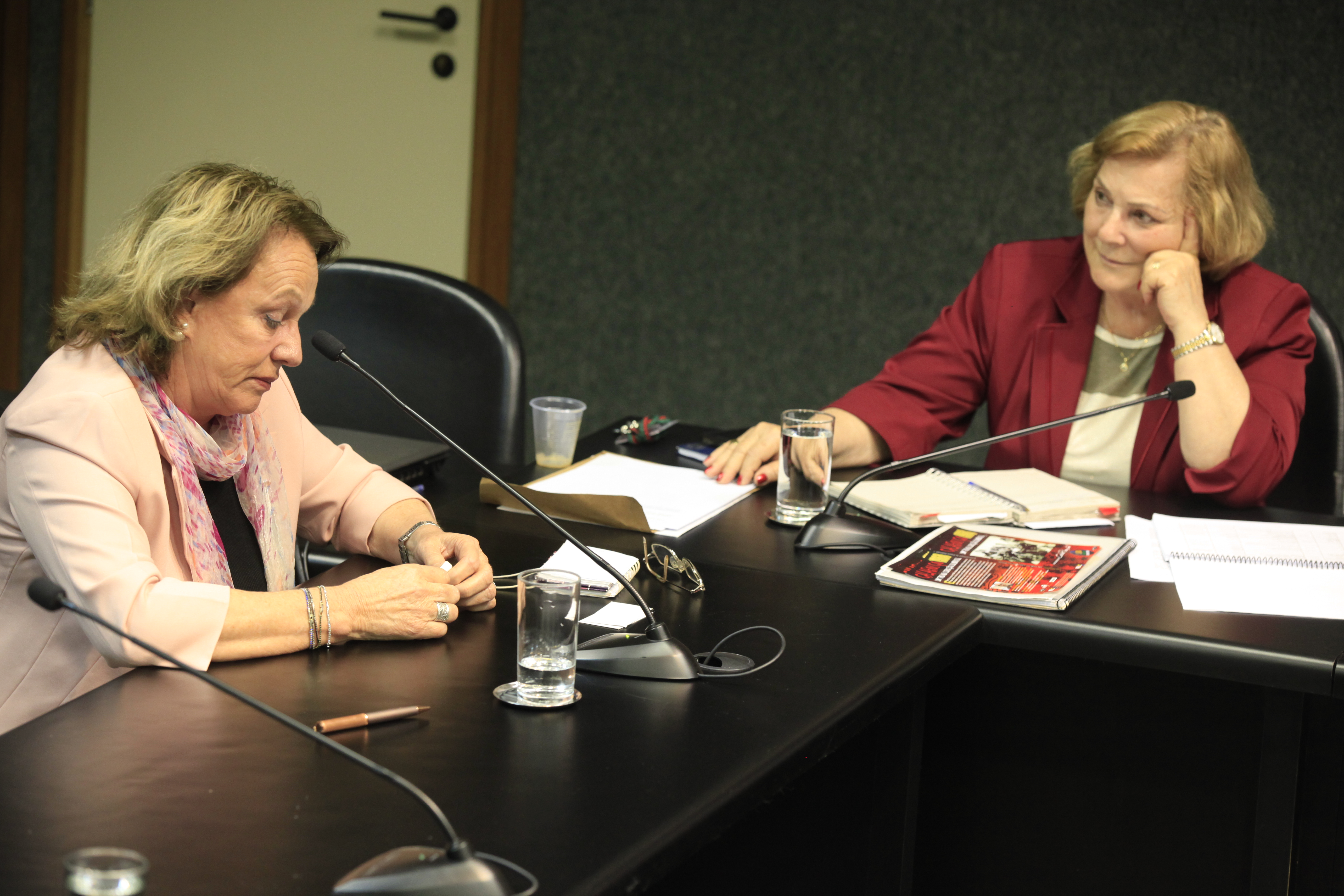 Reunião da Comissão de Verdade e Justiça. Depoente, Anita Pires. Foto: Carlos Kilian/Agência AL