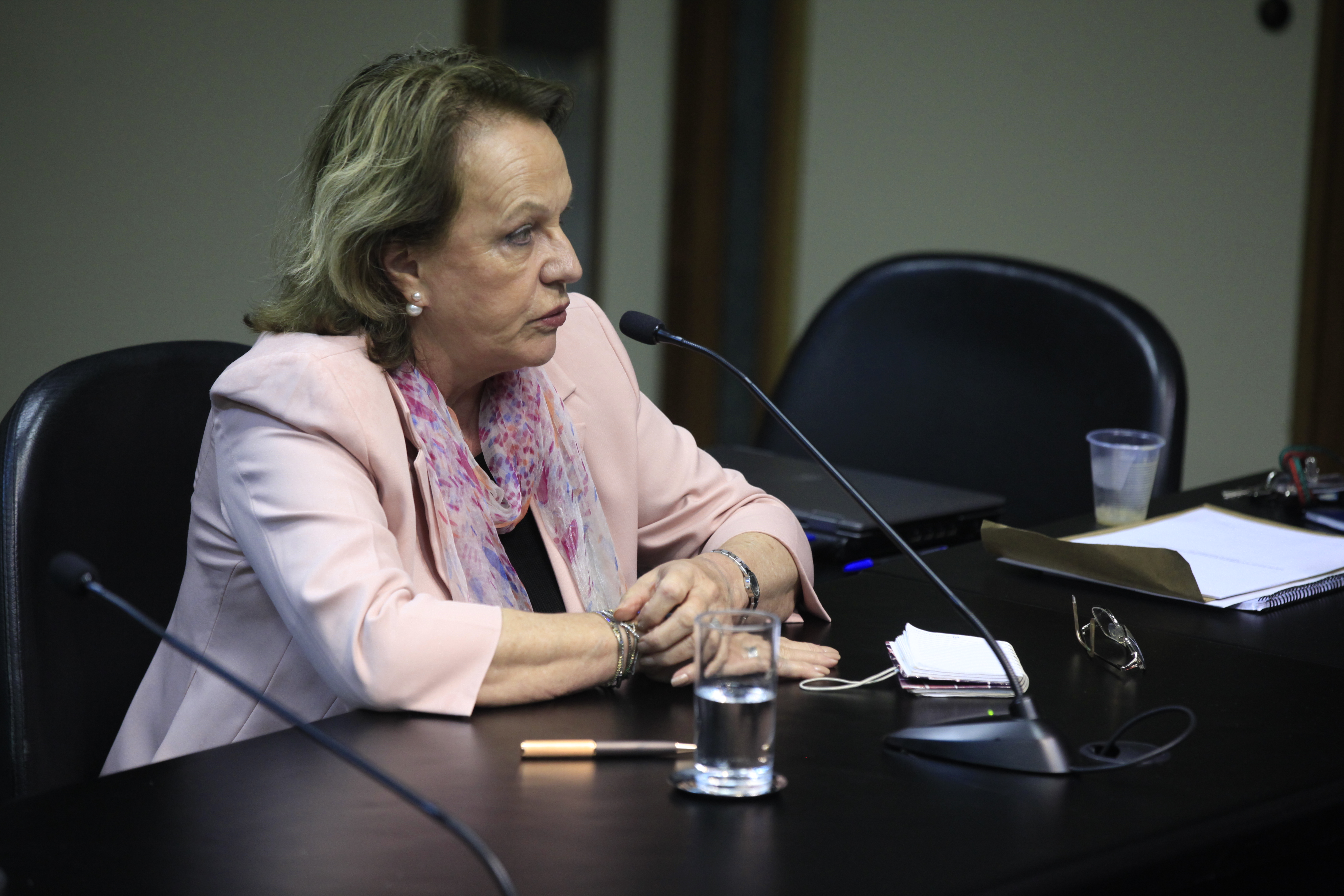 Reunião da Comissão de Verdade e Justiça. Depoente, Anita Pires. Foto: Carlos Kilian/Agência AL