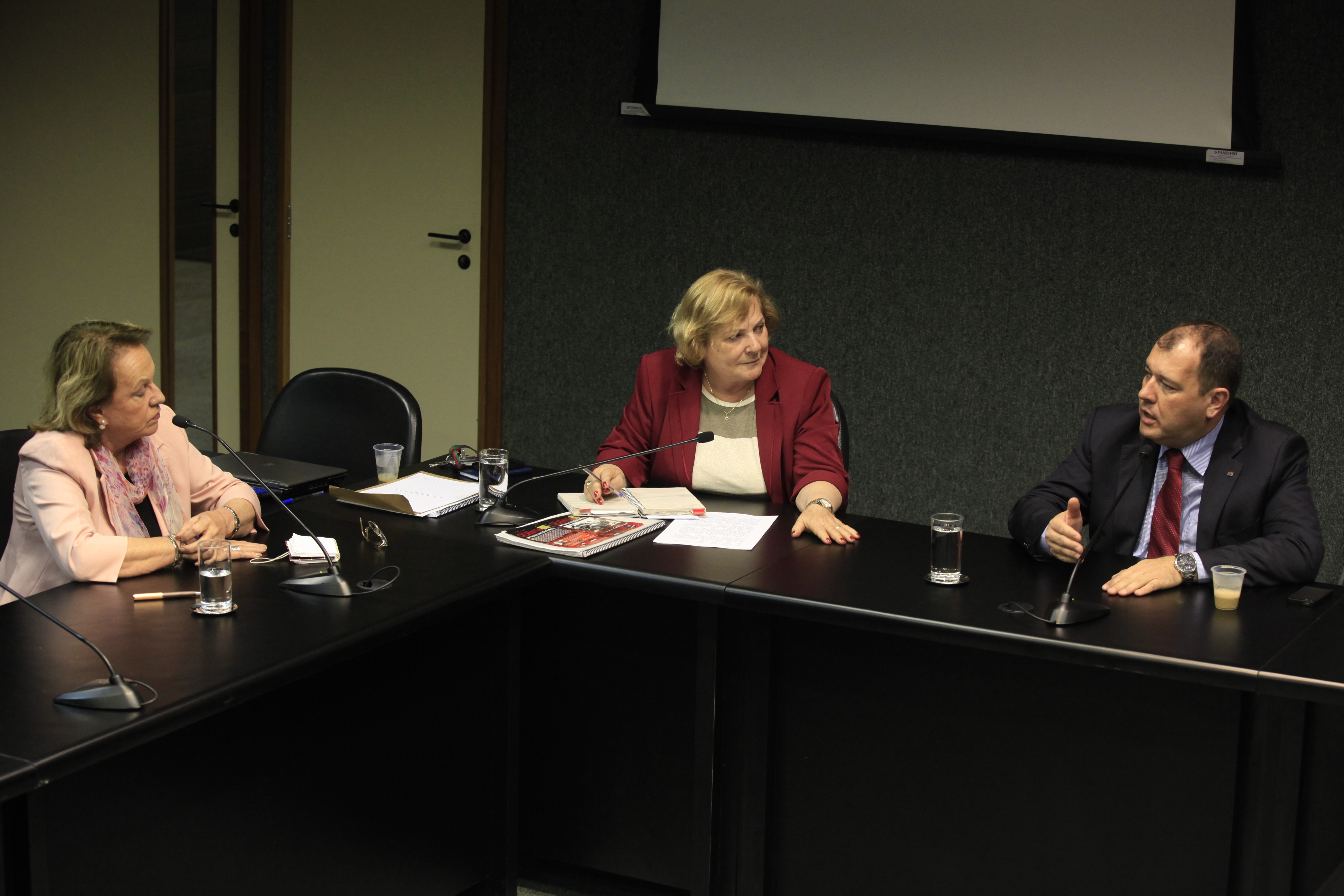 Reunião da Comissão de Verdade e Justiça. Depoente, Anita Pires. Foto: Carlos Kilian/Agência AL