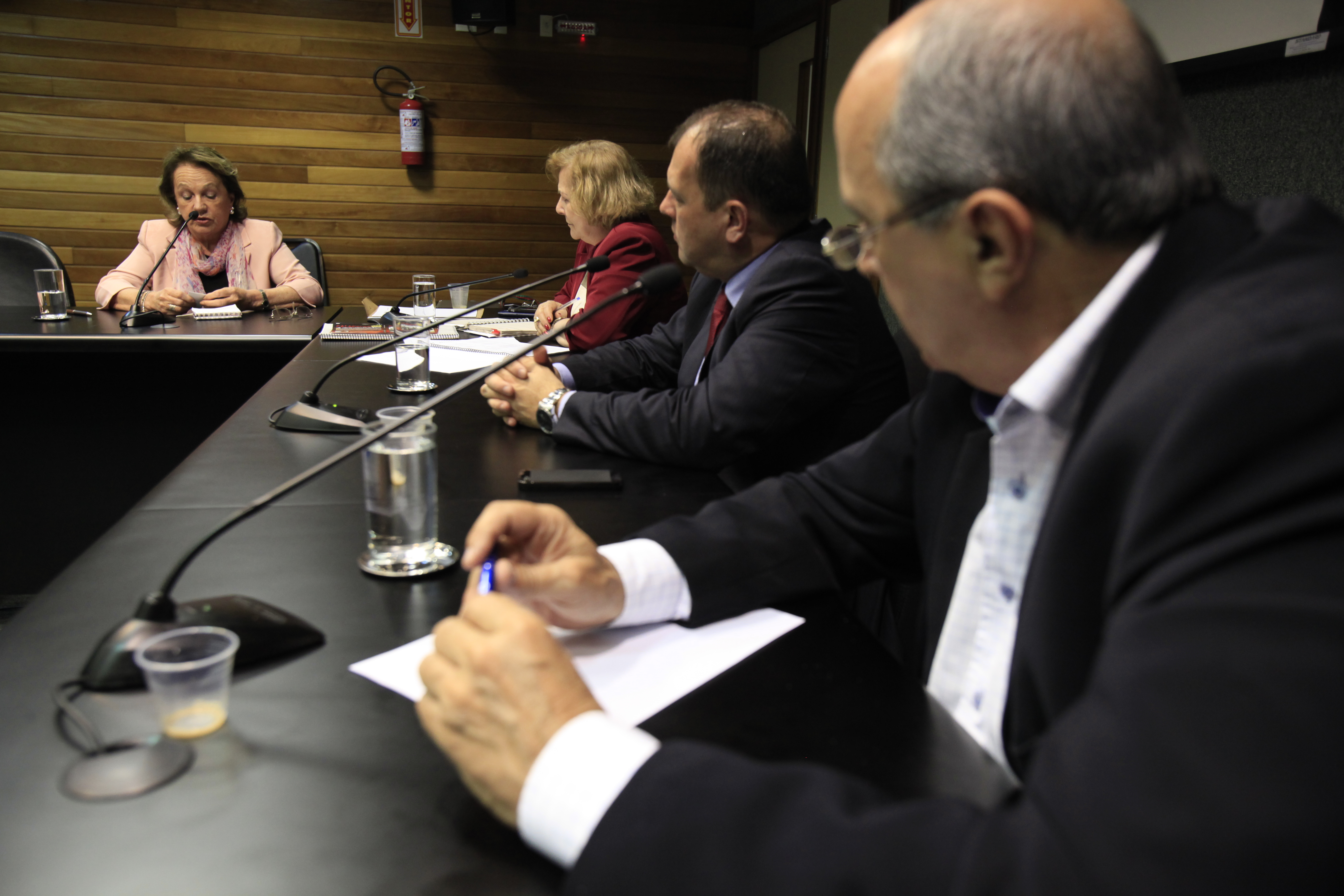 Reunião da Comissão de Verdade e Justiça. Depoente, Anita Pires. Foto: Carlos Kilian/Agência AL