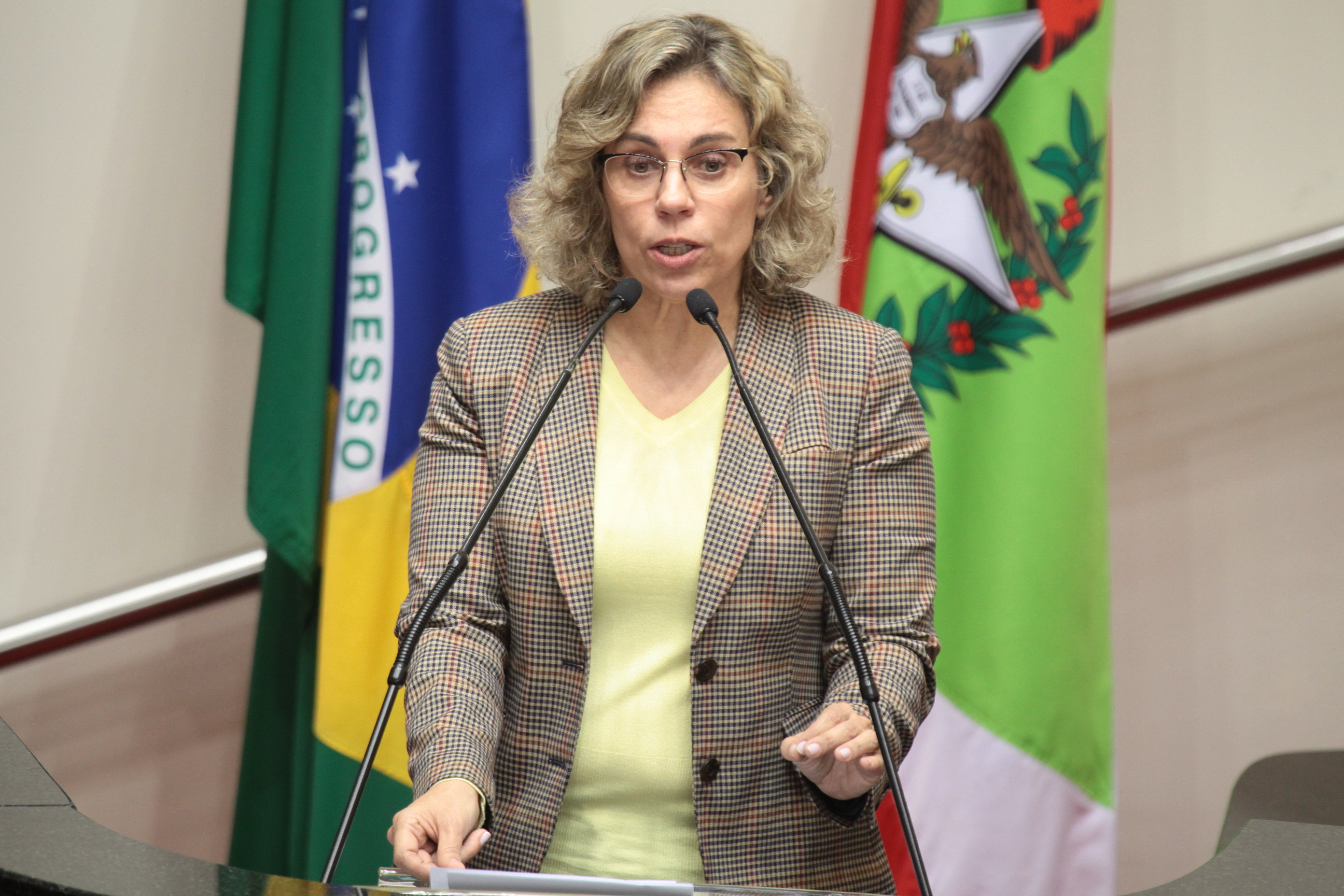 Deputada Ana Paula Lima (PT) - Sessão Ordinária. Foto: Miriam Zomer/ Agência AL