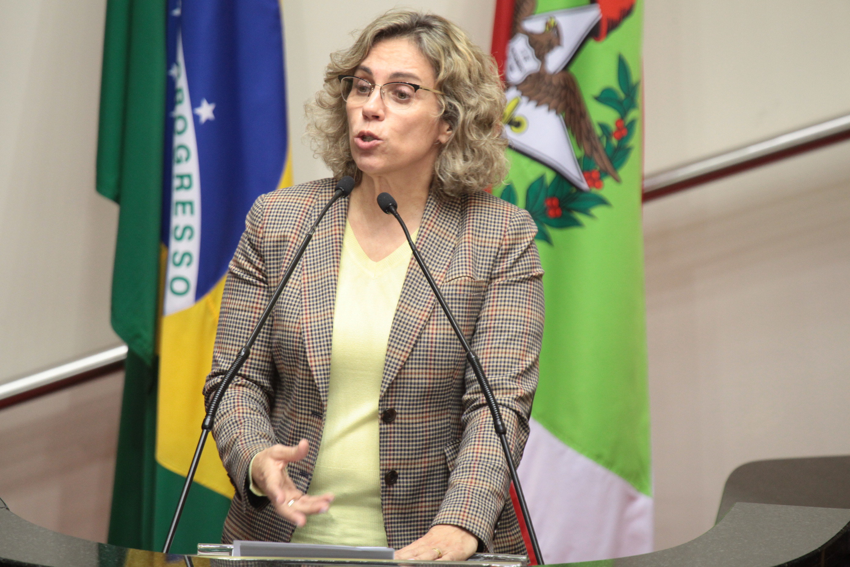 Deputada Ana Paula Lima (PT) - Sessão Ordinária. Foto: Miriam Zomer/ Agência AL