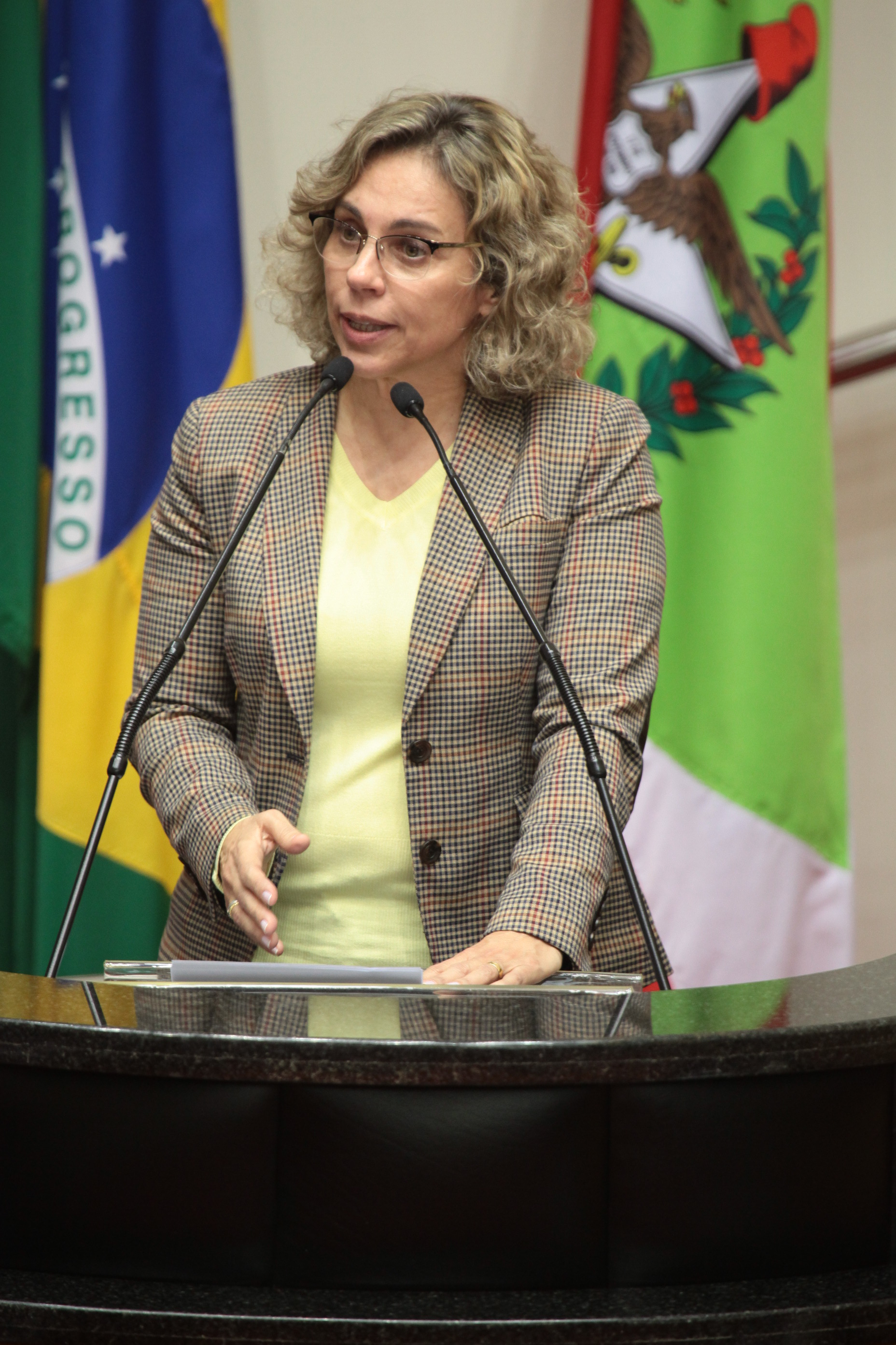 Deputada Ana Paula Lima (PT) - Sessão Ordinária. Foto: Miriam Zomer/ Agência AL
