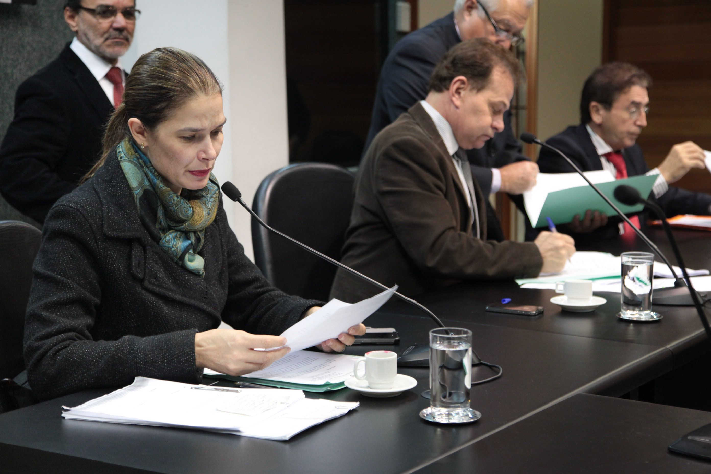 Comissão de Finanças e Tributação - Foto: Juliana Stadnik / Agência AL