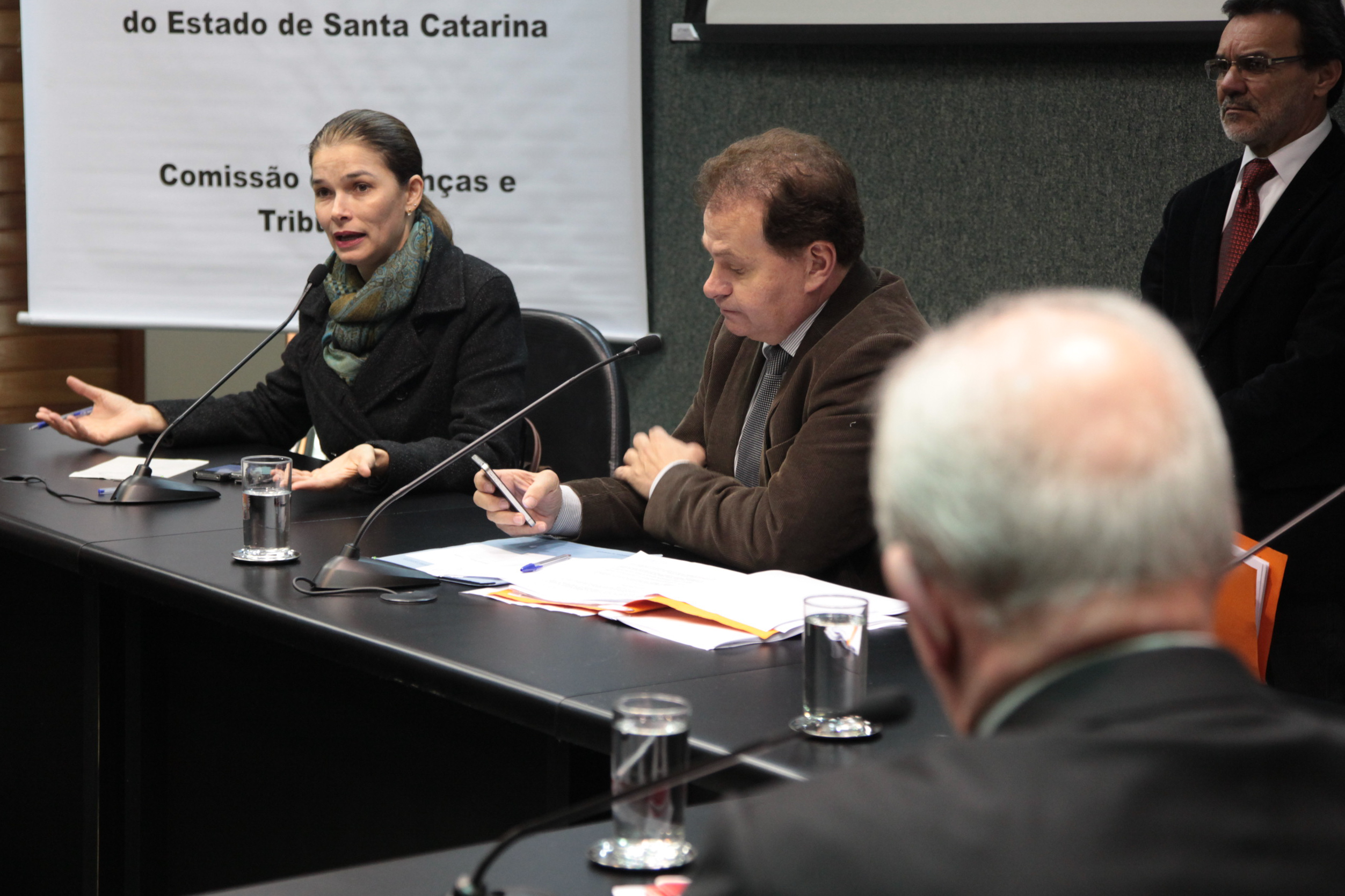 Comissão de Finanças e Tributação - Foto: Juliana Stadnik / Agência AL