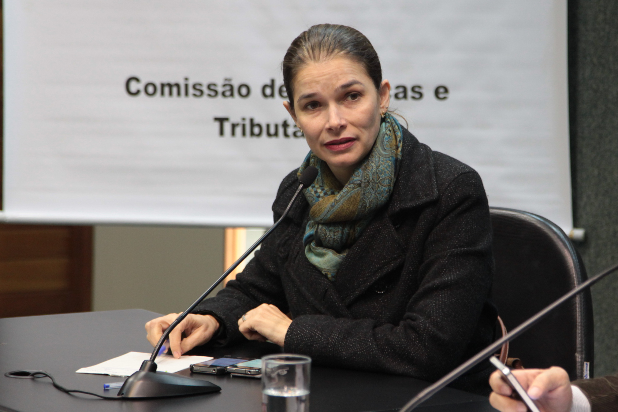 Comissão de Finanças e Tributação - Dep. Angela Albino (PCdoB) - Foto: Juliana Stadnik / Agência AL