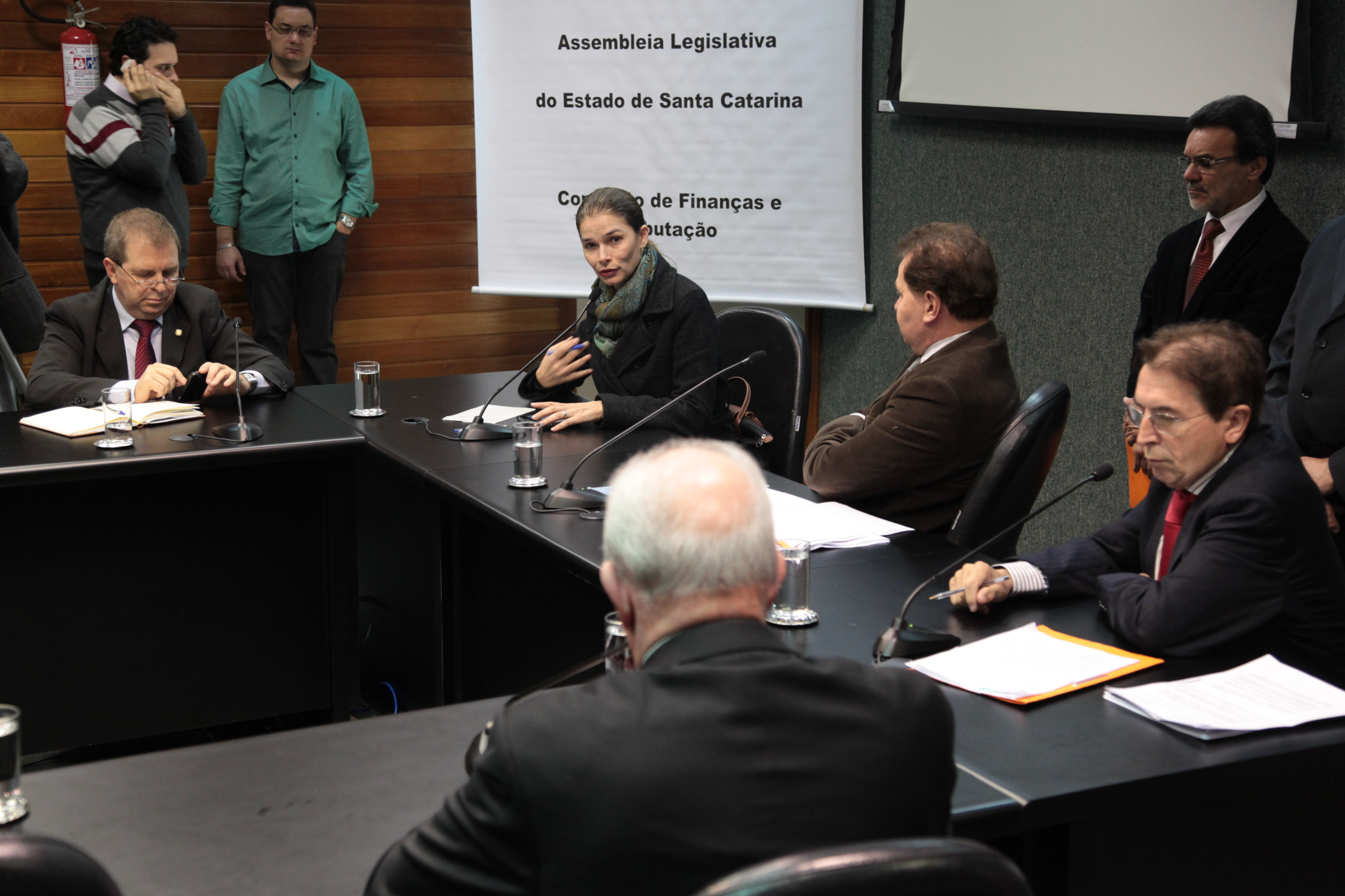 Comissão de Finanças e Tributação - Foto: Juliana Stadnik / Agência AL