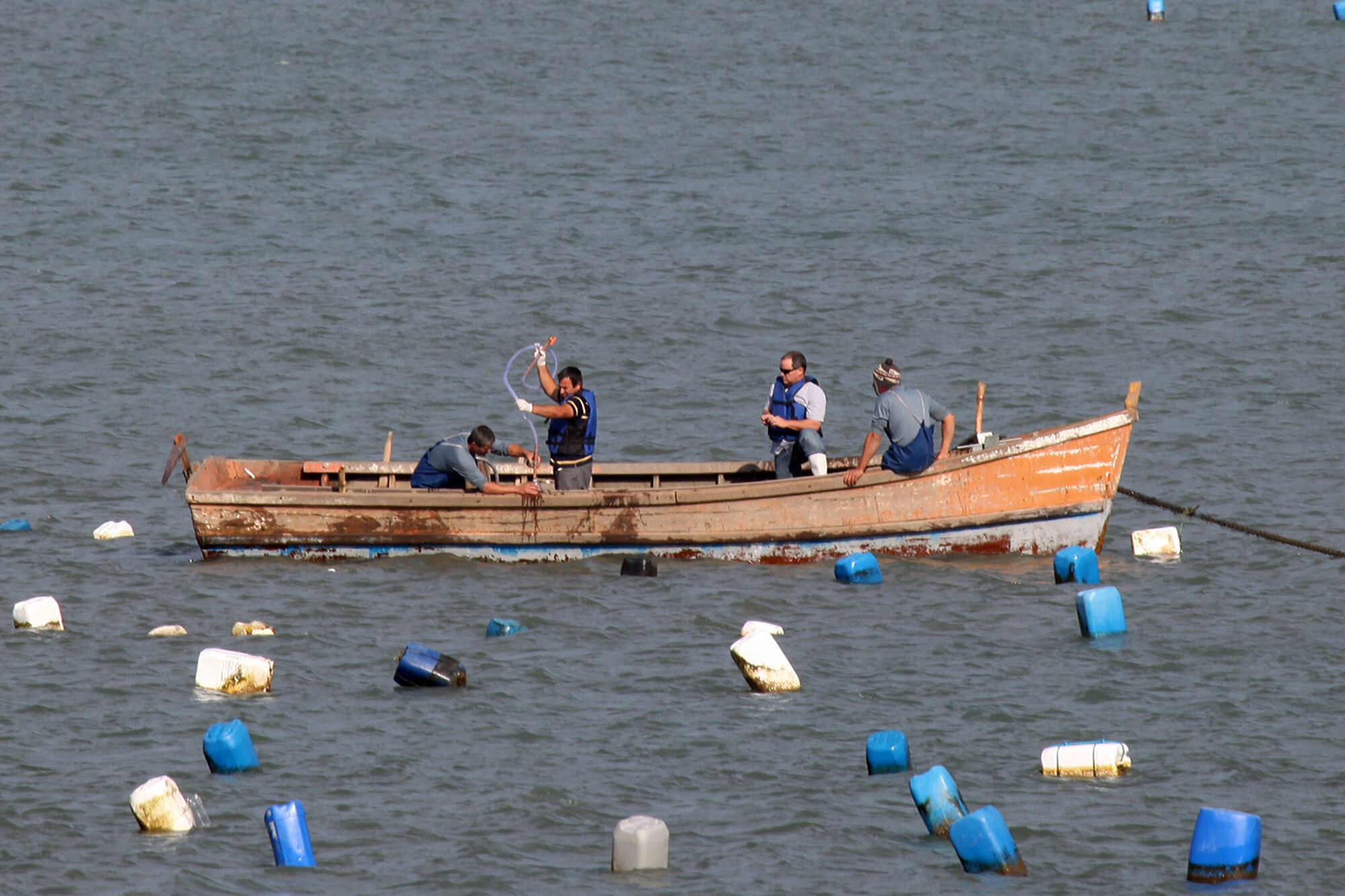 Coleta de amostra em fazenda de ostras na Praia da Ponta do Papagaio. FOTOS: Fábio Queiroz/Agência AL