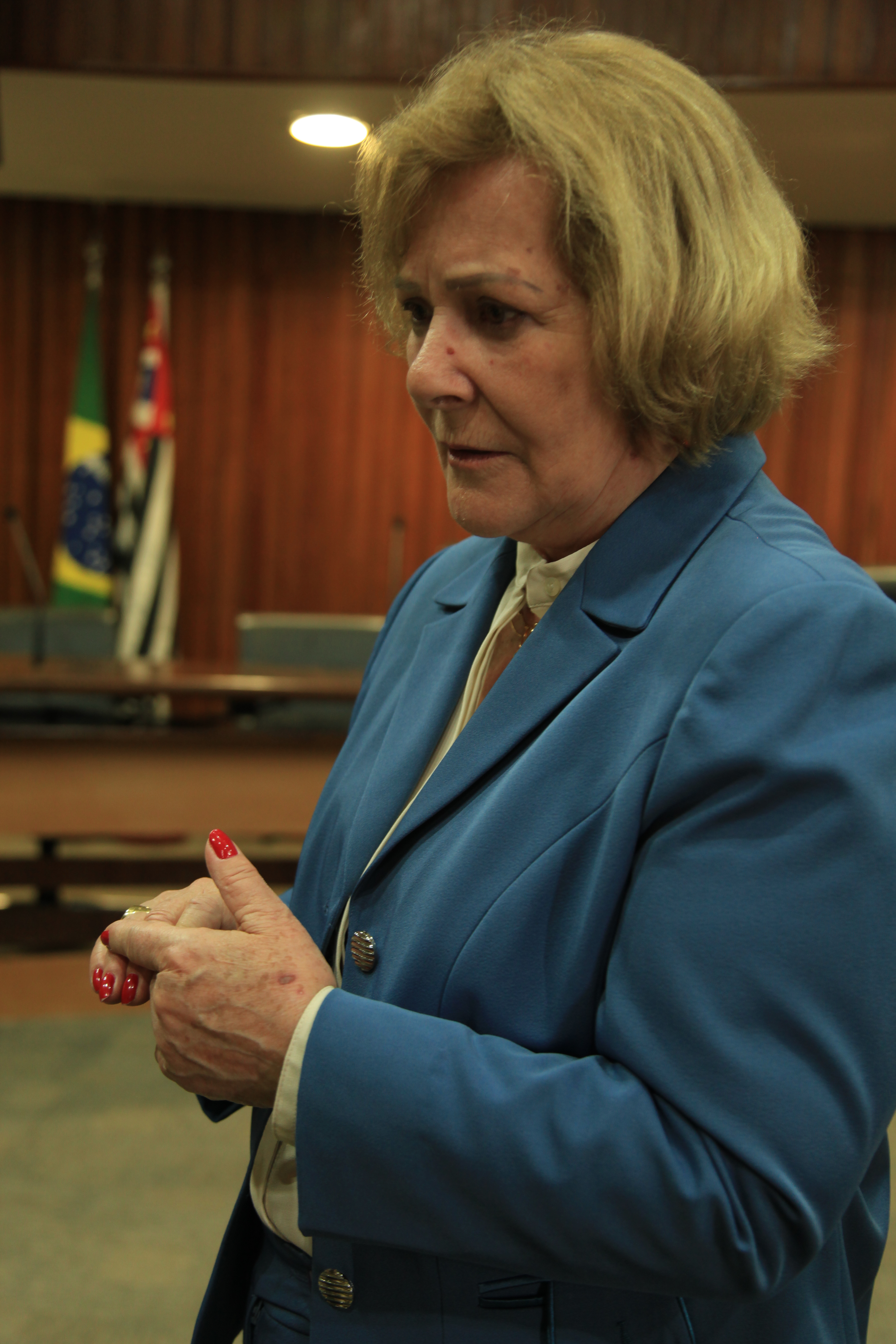 Comissão Nacional da Verdade - Derlei Catarina de Luca. Foto: Carlos Kilian
