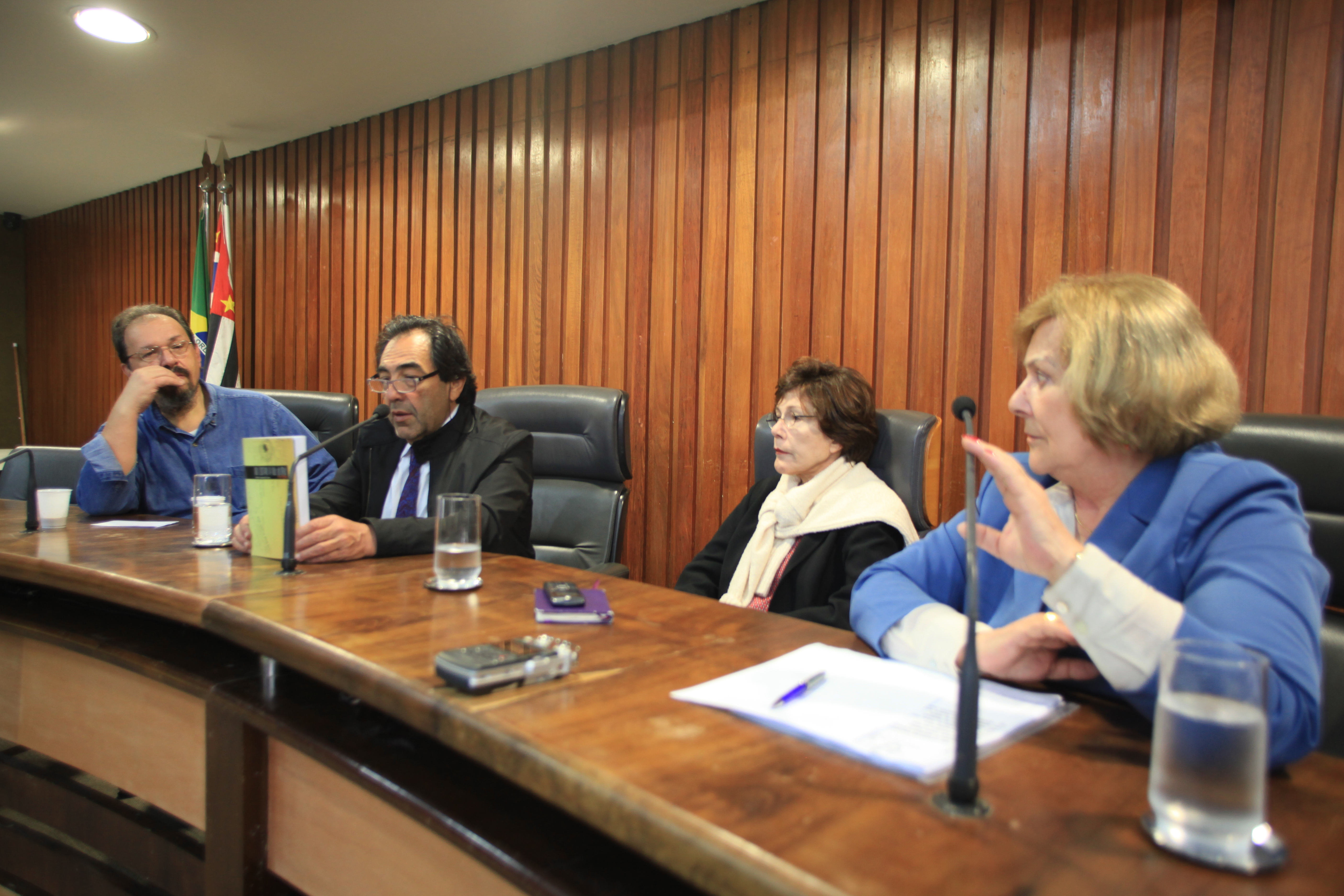 Comissão Nacional da Verdade - Derlei Catarina de Luca. Foto: Carlos Kilian