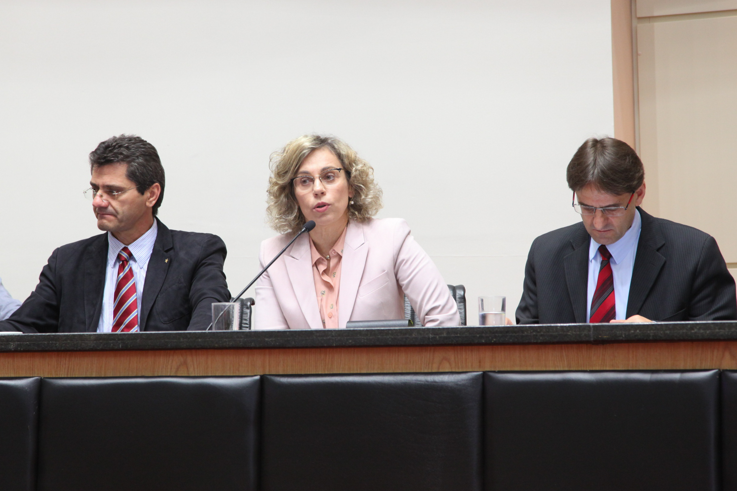 Reunião da Comissão de Constituição e Justiça. Votação do Amianto. Foto: Juliana Stadnik / Agência AL