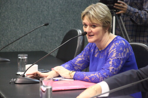 Deputada Luciane Carminatti é favorável à proibição do uso de amianto em Santa Catarina