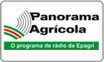 Panorama Agricola