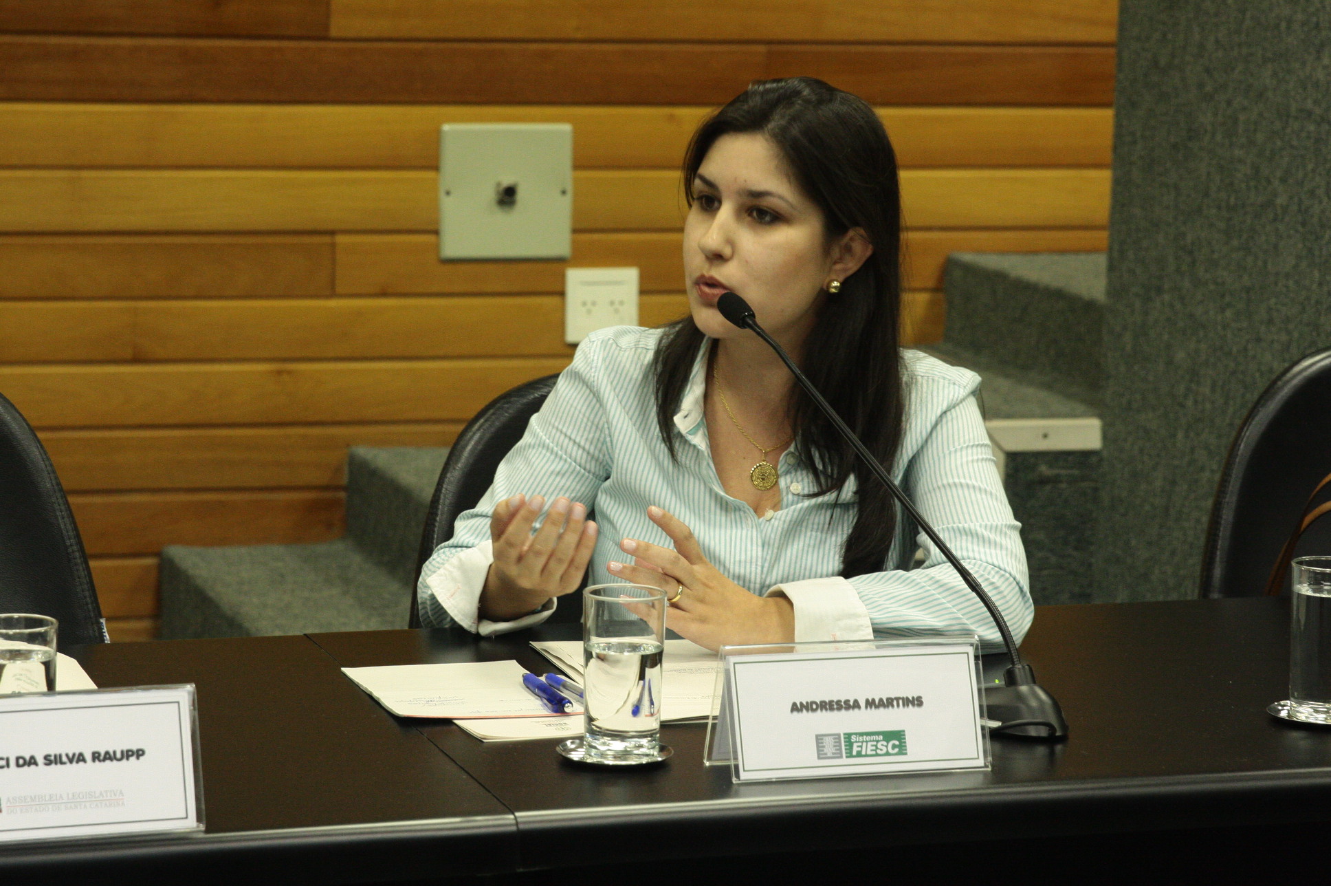 Comissão de Responsabilidade Social. Foto: Eduardo Guedes de Oliveira/Agência AL