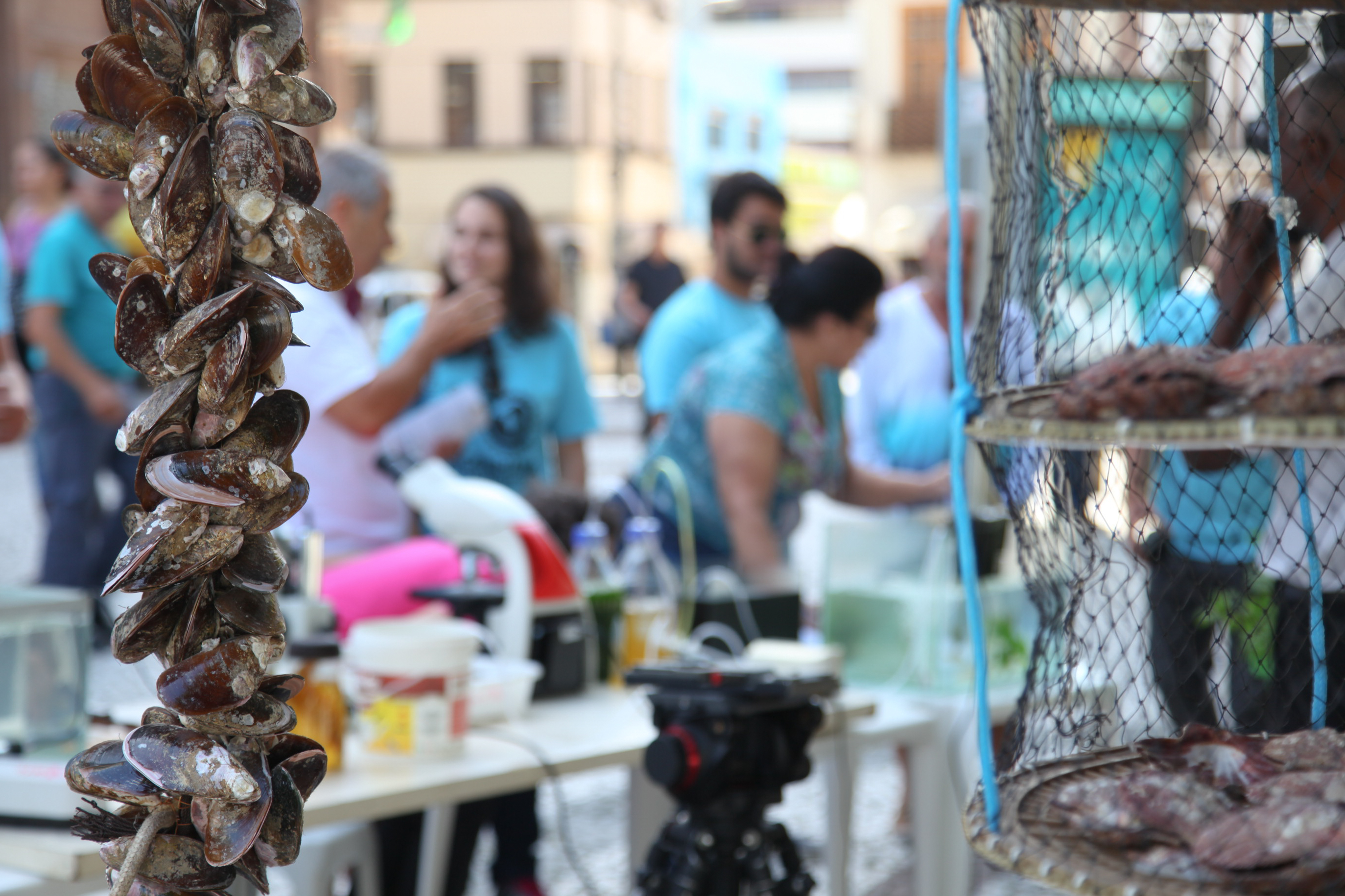 Mostra Aquicultura