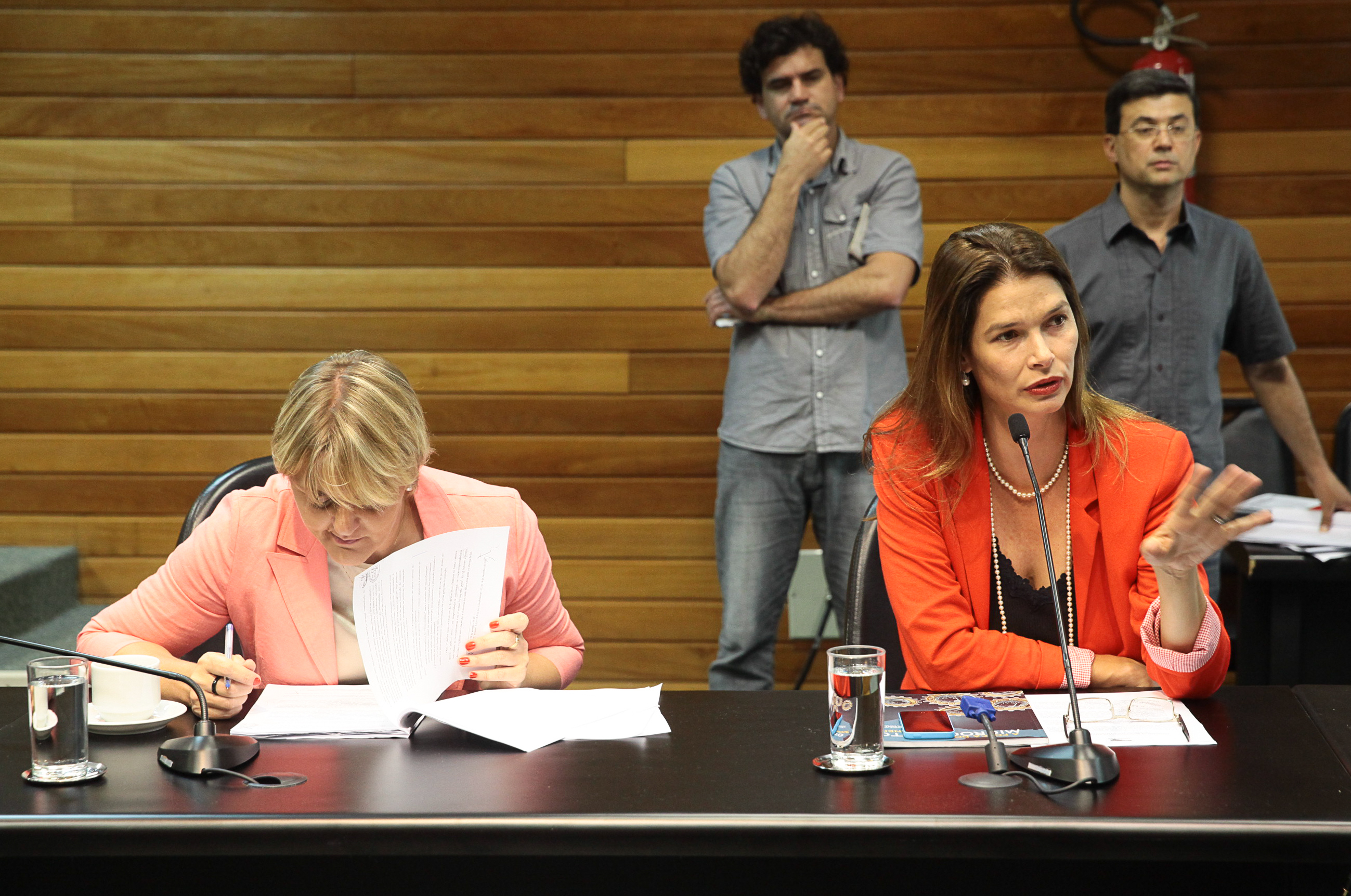 Reunião da Comissão de Finanças. Foto: Miriam Zomer/Agência AL