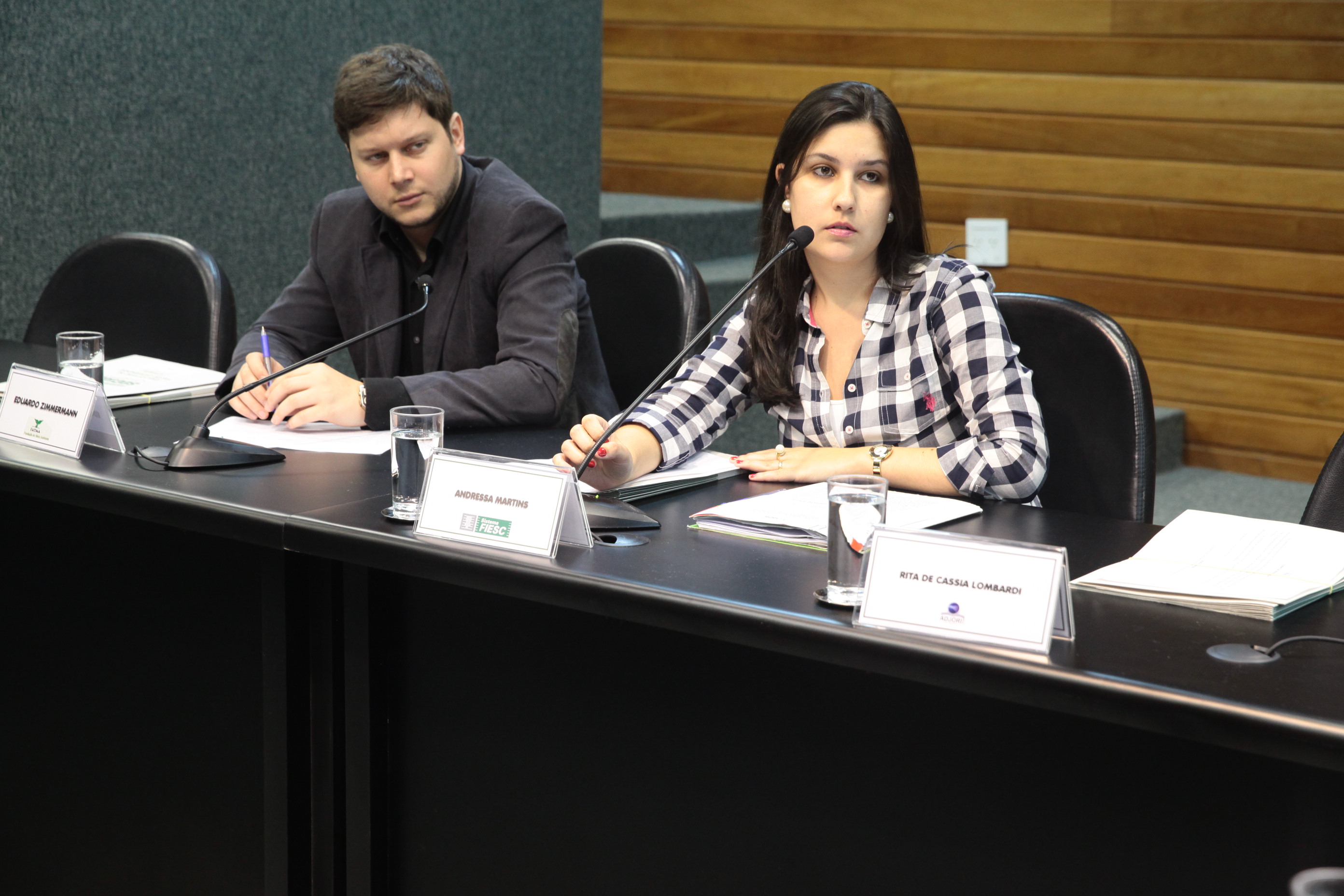 Reunião da Comissão de Responsabilidade Social. Fotos: Miriam Zomer/Agência AL