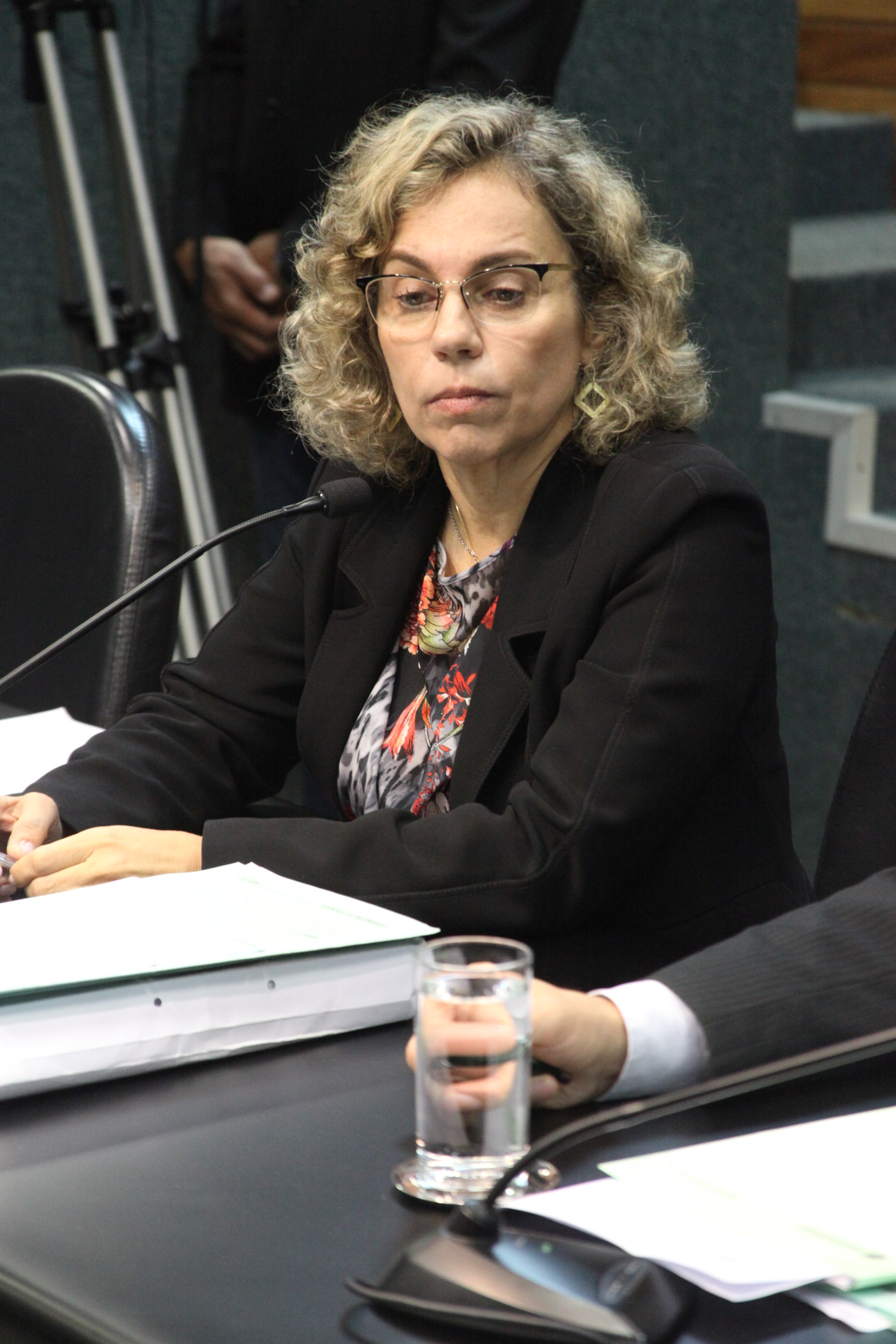 Comissão de Constituição e Justiça. Foto: Fábio Queiroz / Agência AL