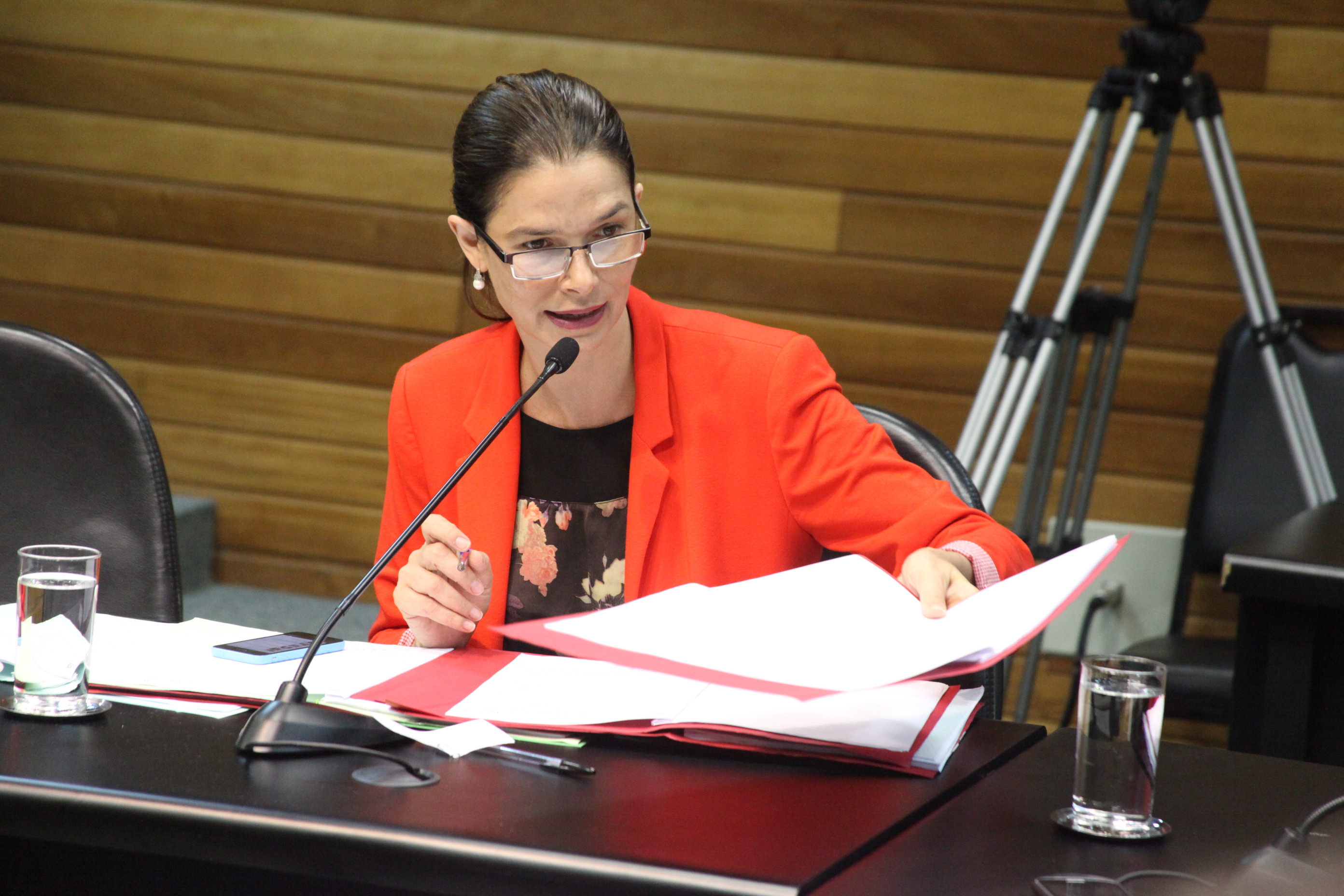 Reunião da Comissão de Trabalho Administração e Serviços Públicos. Foto: Fábio Queiroz / Agência AL