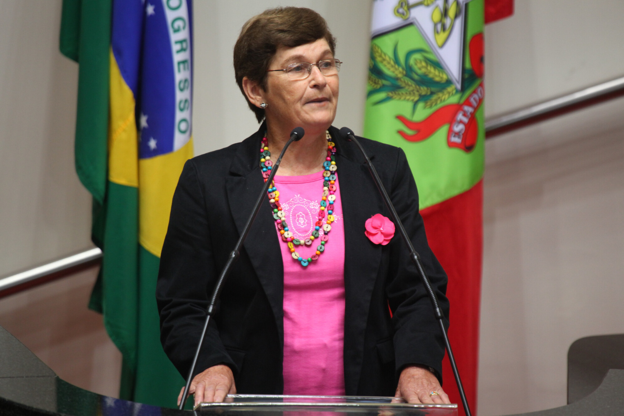 Representante no Consea, Adélia Maria Schmitz defende acesso à alimentação de qualidade. FOTO: Juliana Stadnik/Agência AL