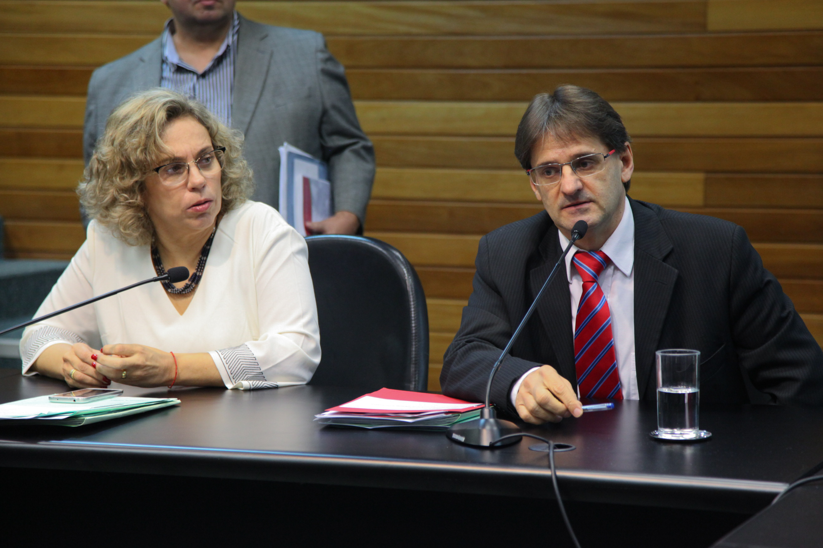 Comissão de Constituição de Justiça - Foto: Juliana Stadnik / Agência AL