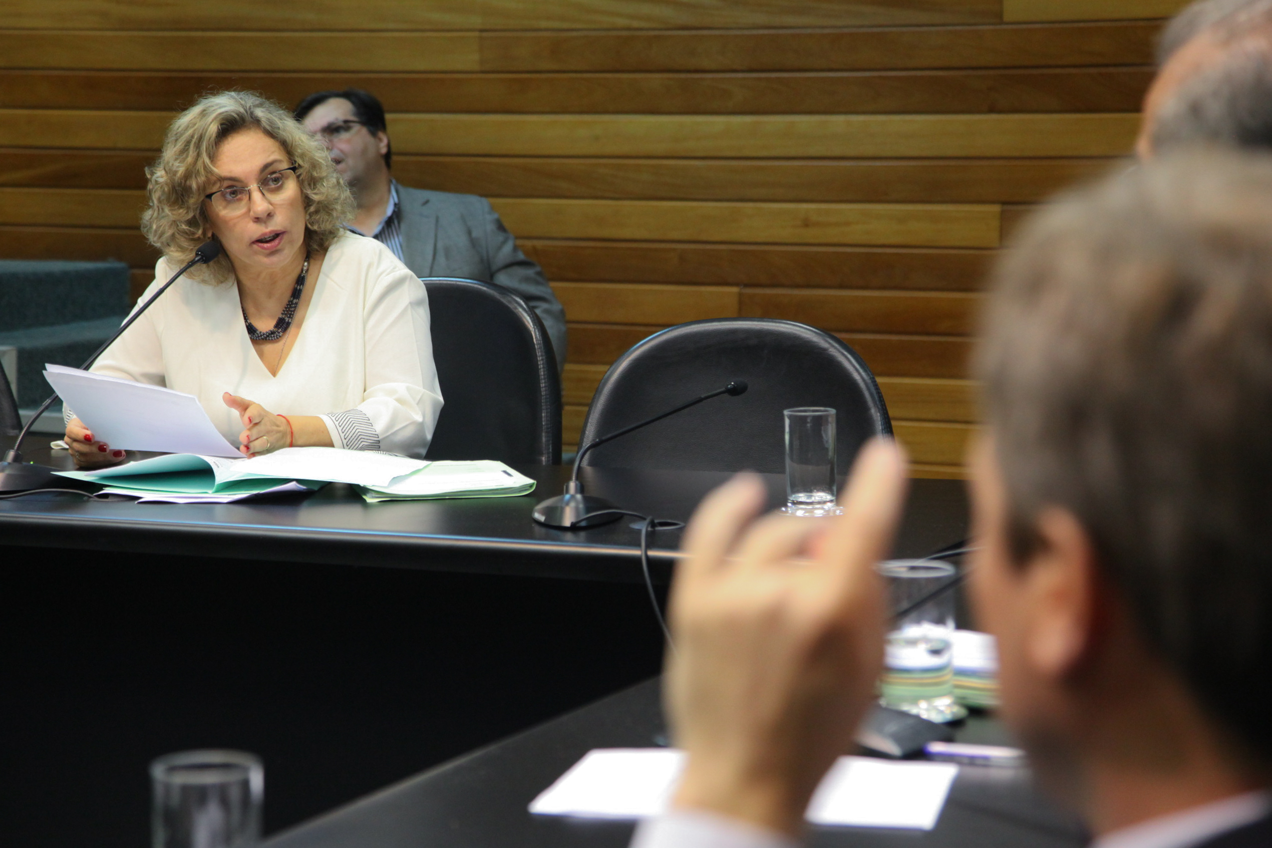 Comissão de Constituição de Justiça - Foto: Juliana Stadnik / Agência AL