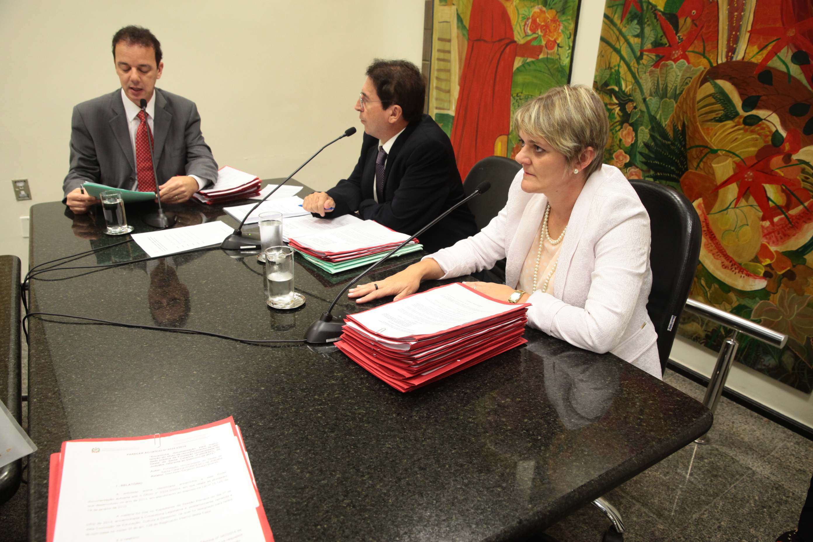 Reunião da Comissão de Educação. Foto: Miriam Zomer/ Agência AL