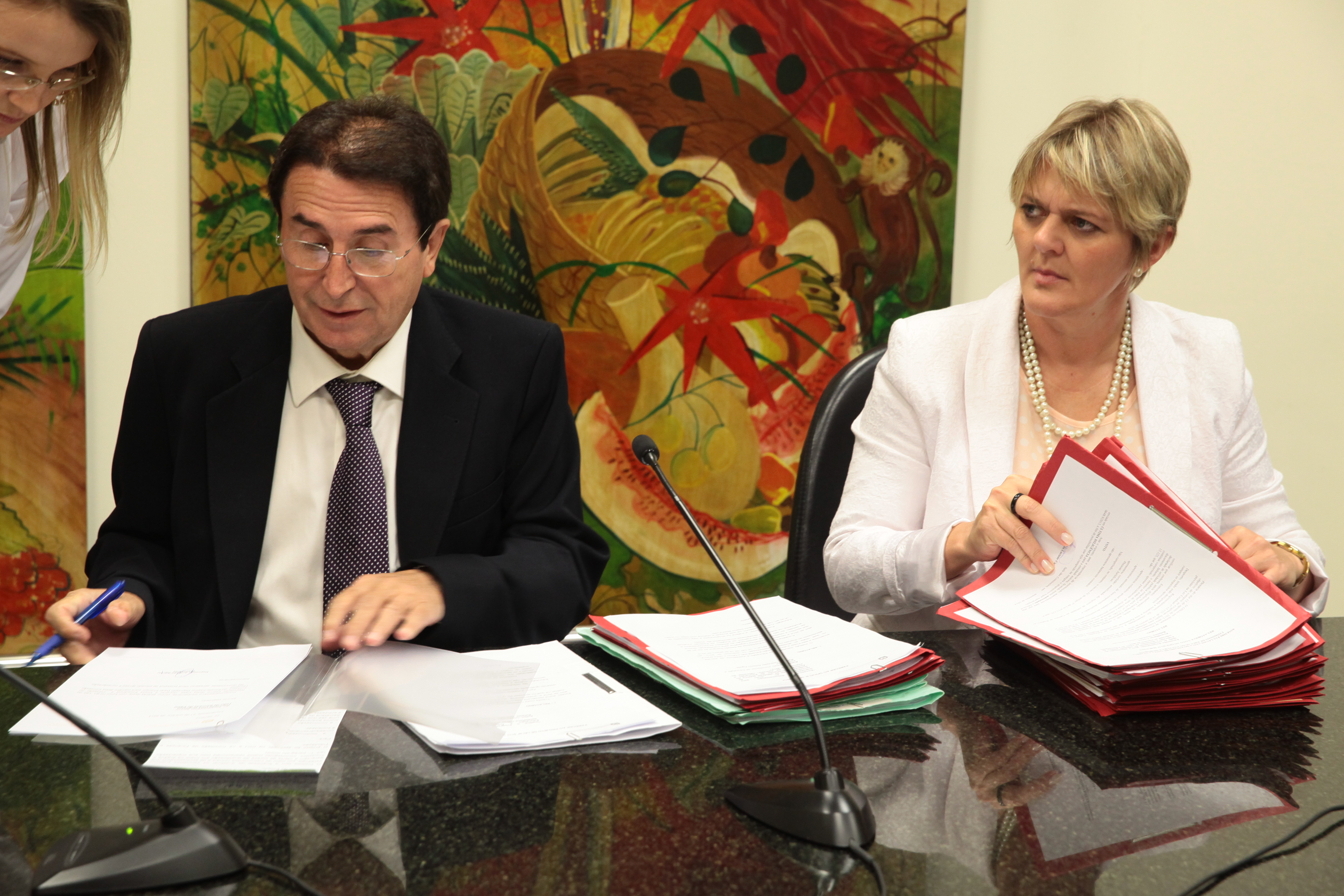 Reunião da Comissão de Educação. Foto: Miriam Zomer/ Agência AL