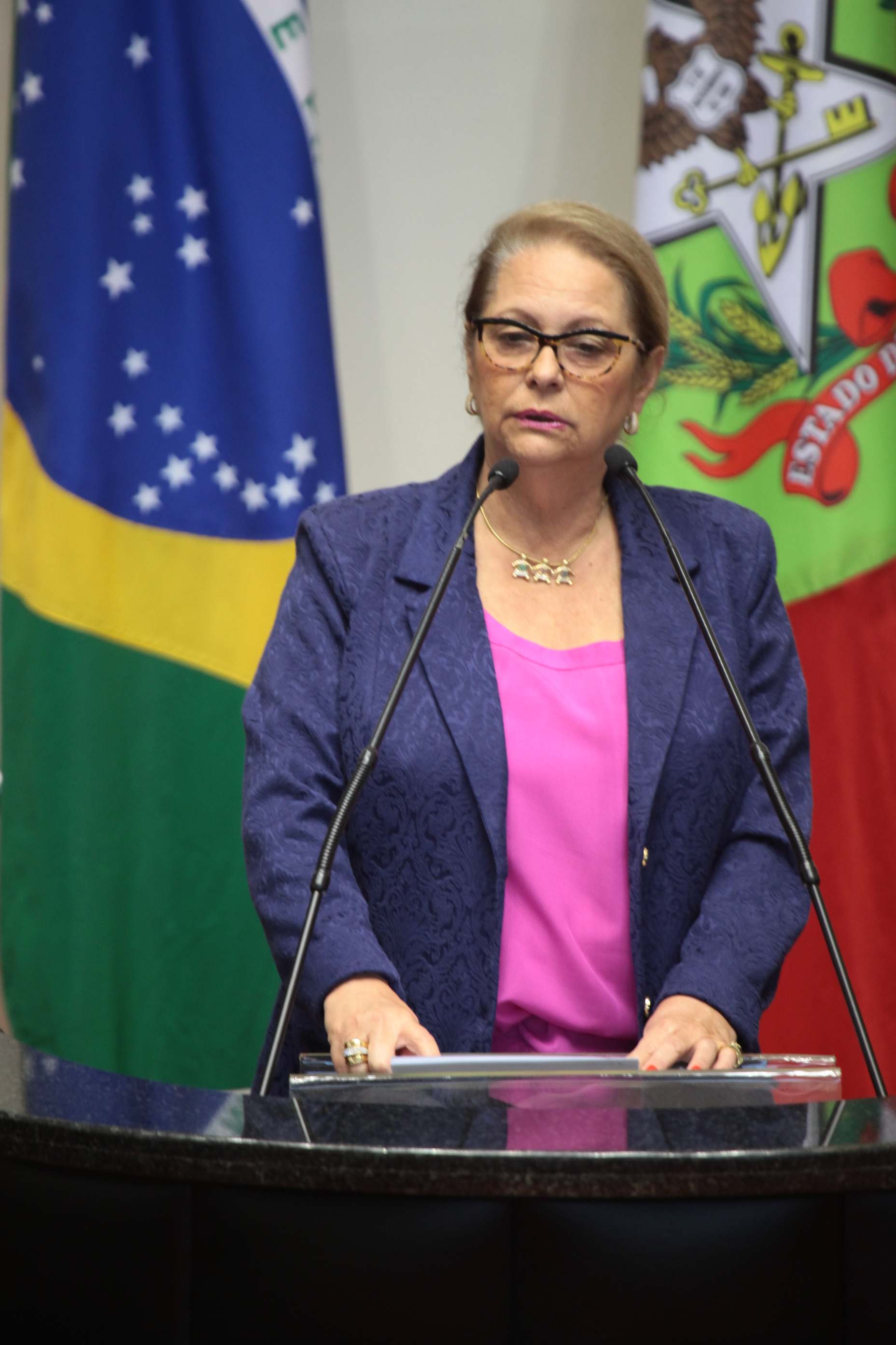Deputada Ada de Luca PMDB) - Sessão Ordinária - Plenário Osni Regis. Foto: Miriam Zomer/Agência AL