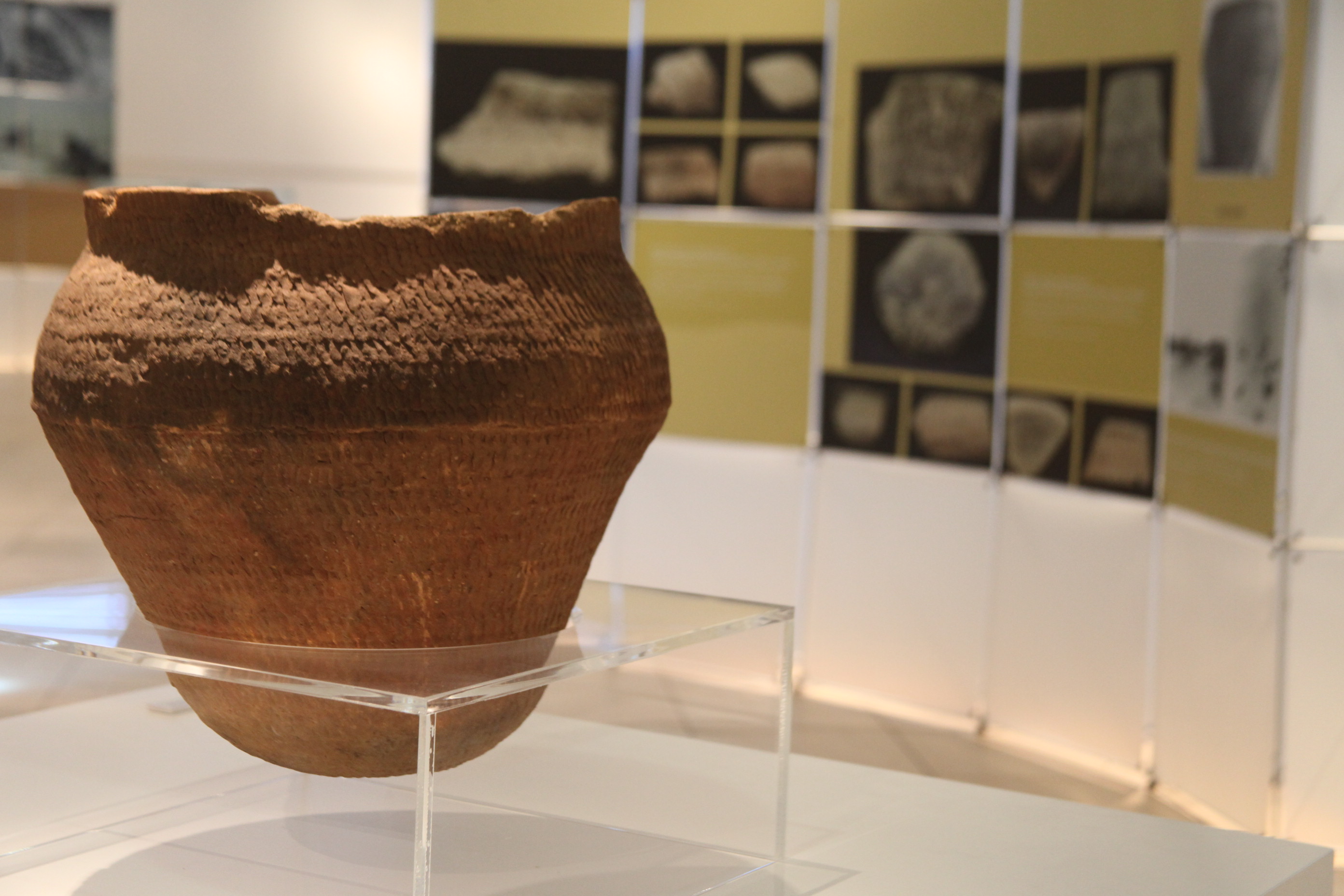 Exposição Arqueologia em Questão. Foto: Fábio Queiroz / Agência AL