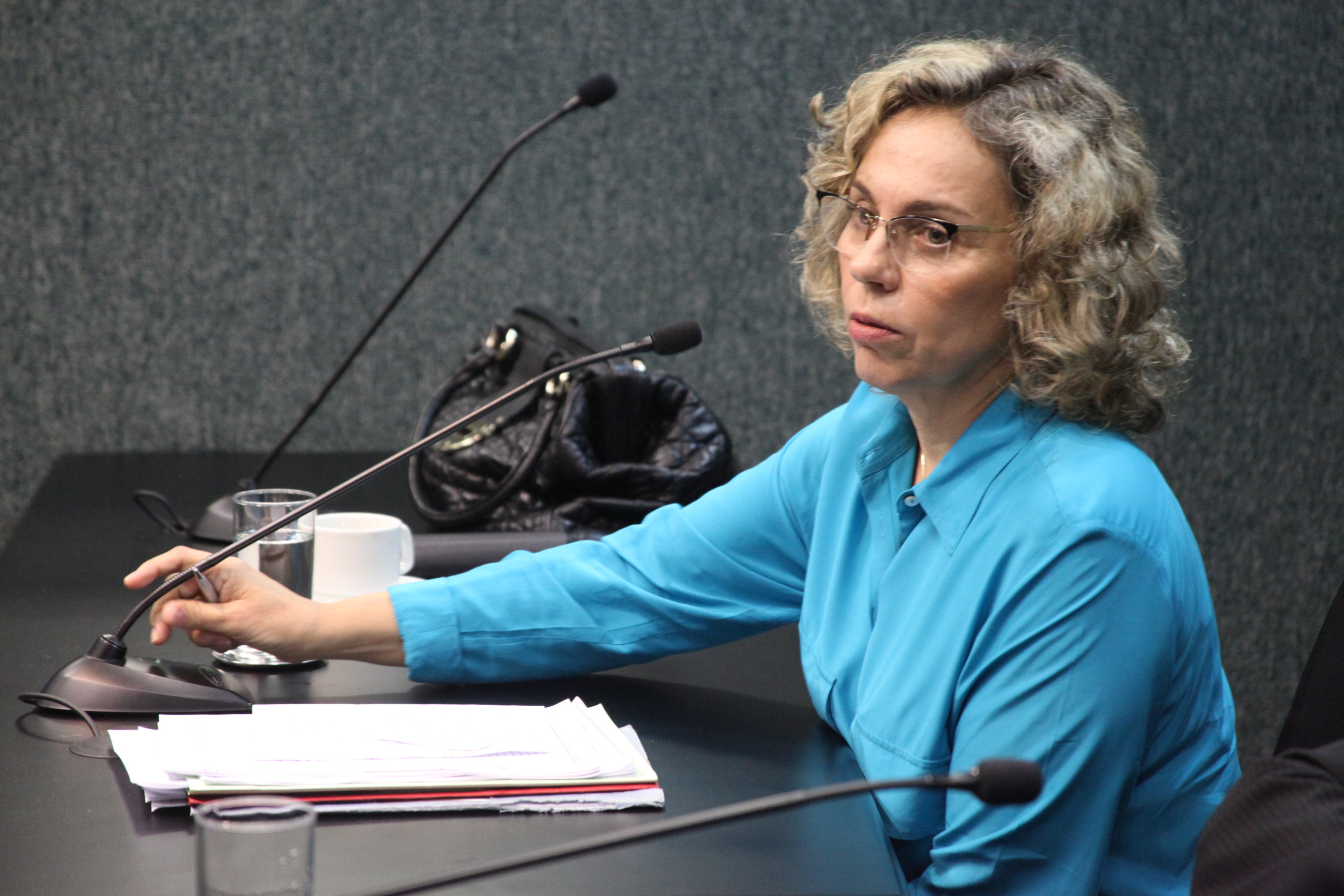 Reunião da Comissão de Constituição e Justiça. Foto: Fábio Queiroz / Agência AL