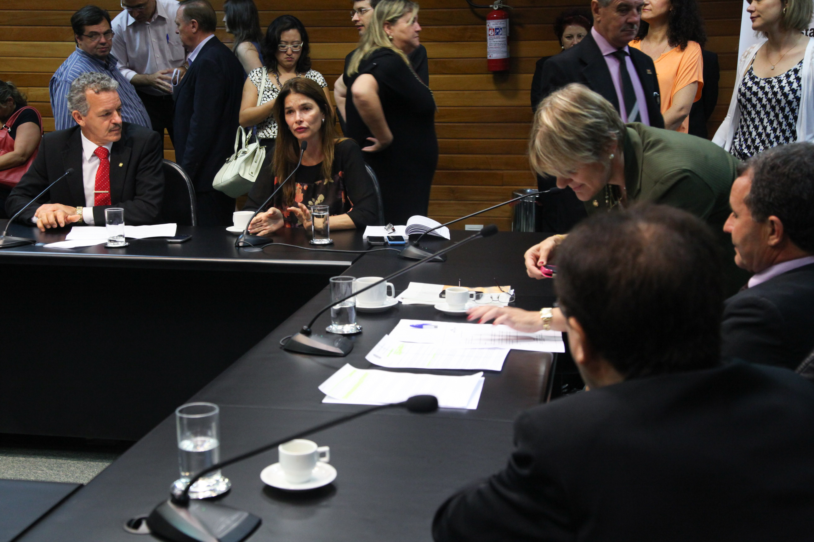 Comissão de Finanças e Tributação - Foto: Juliana Stadnik / Agência AL