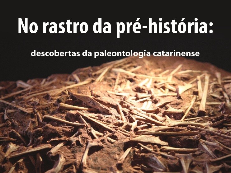 O garimpo do passado em Mafra