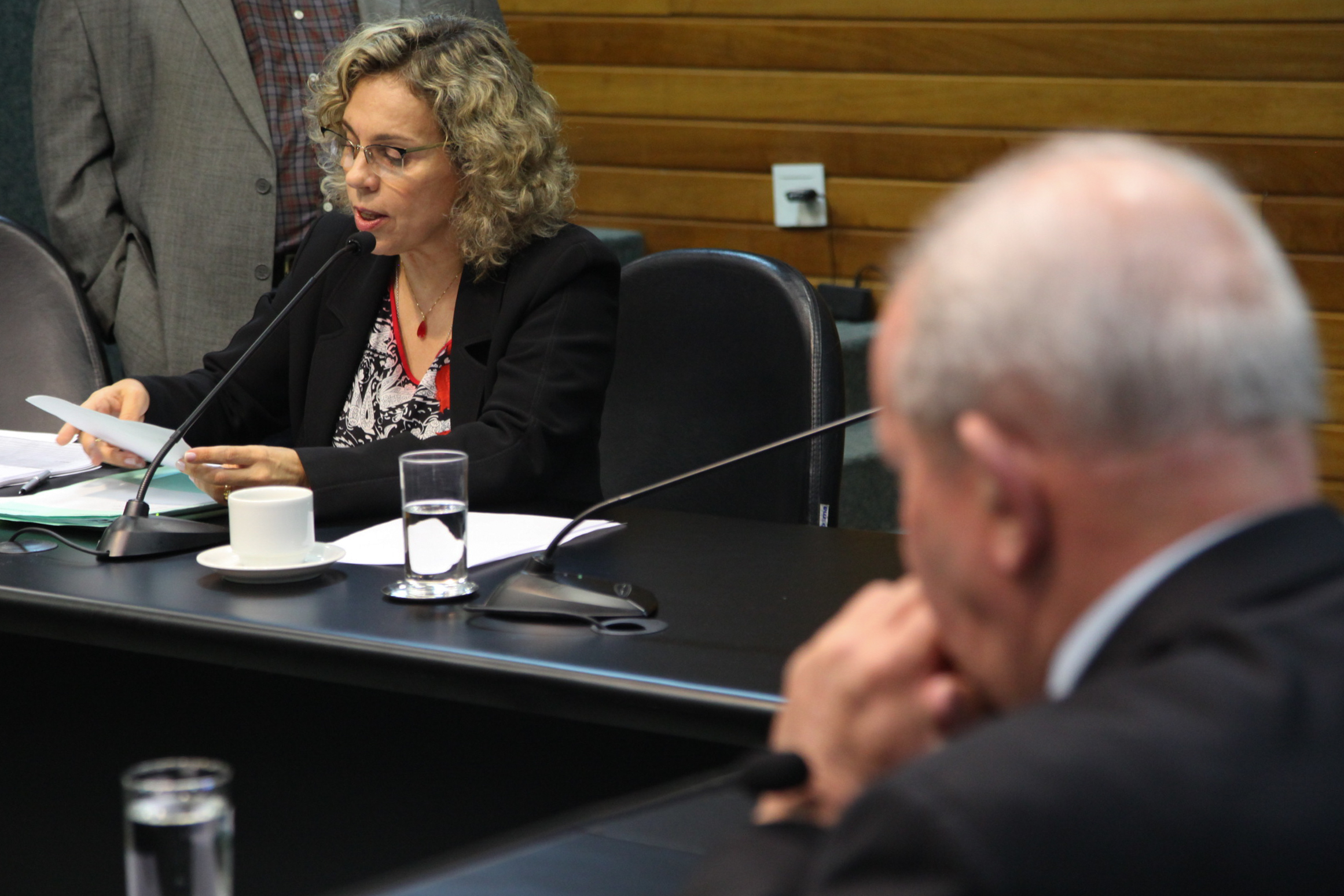 Comissão de Constituição de Justiça - Foto: Juliana Stadnik / Agência AL