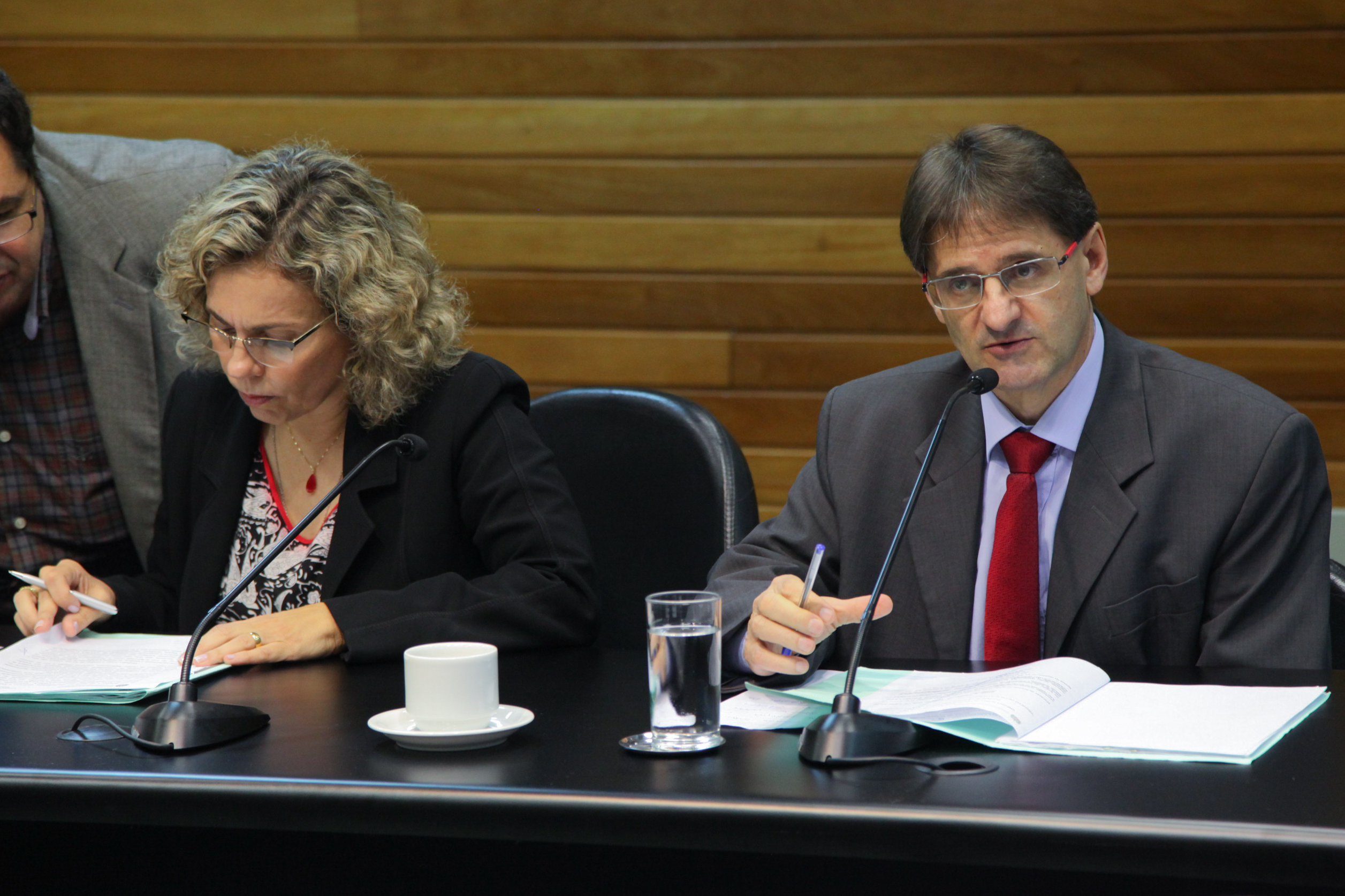 Comissão de Constituição de Justiça - Foto: Juliana Stadnik / Agência AL