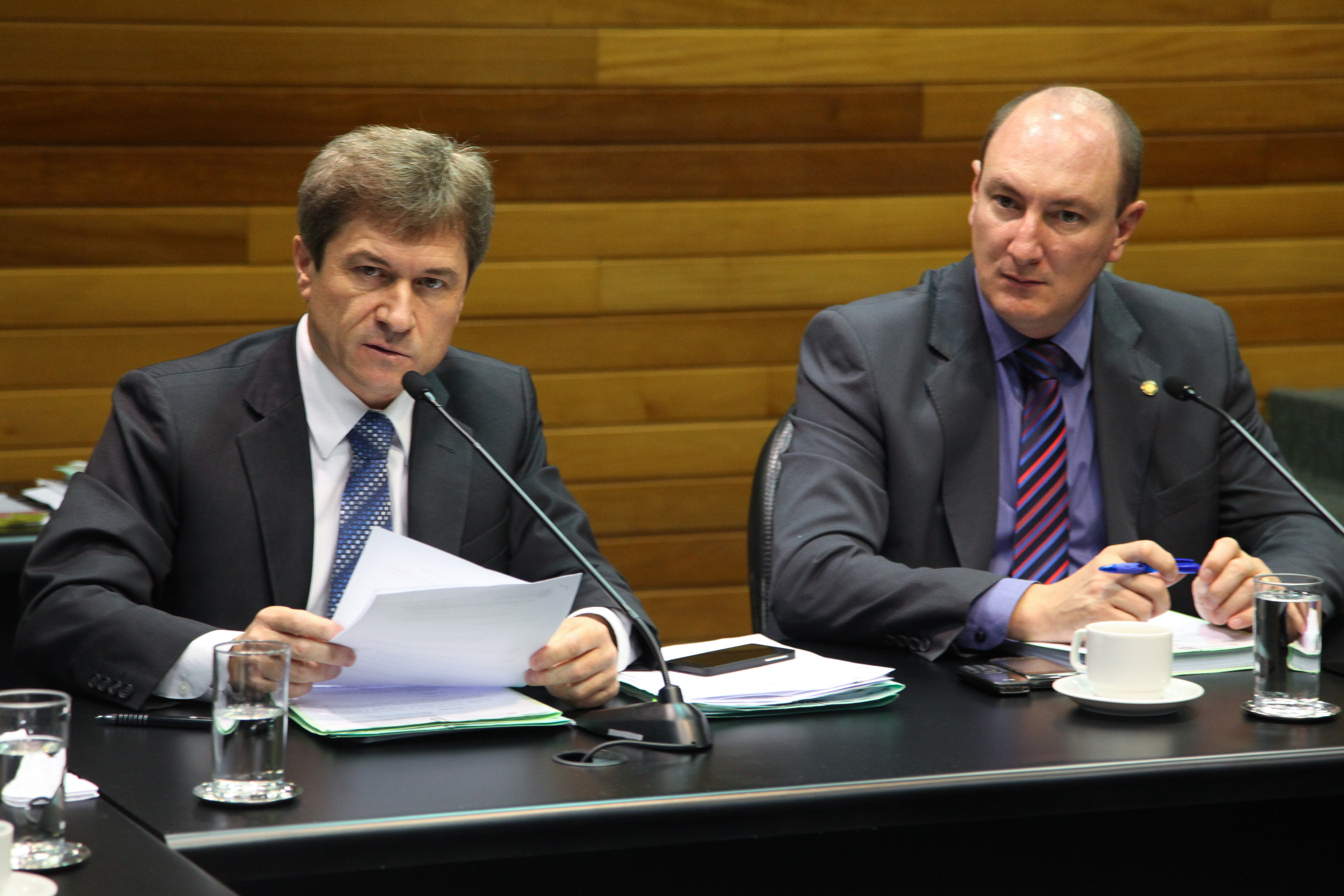 Comissão de Constituição de Justiça - Foto: Juliana Stadnik / Agência AL