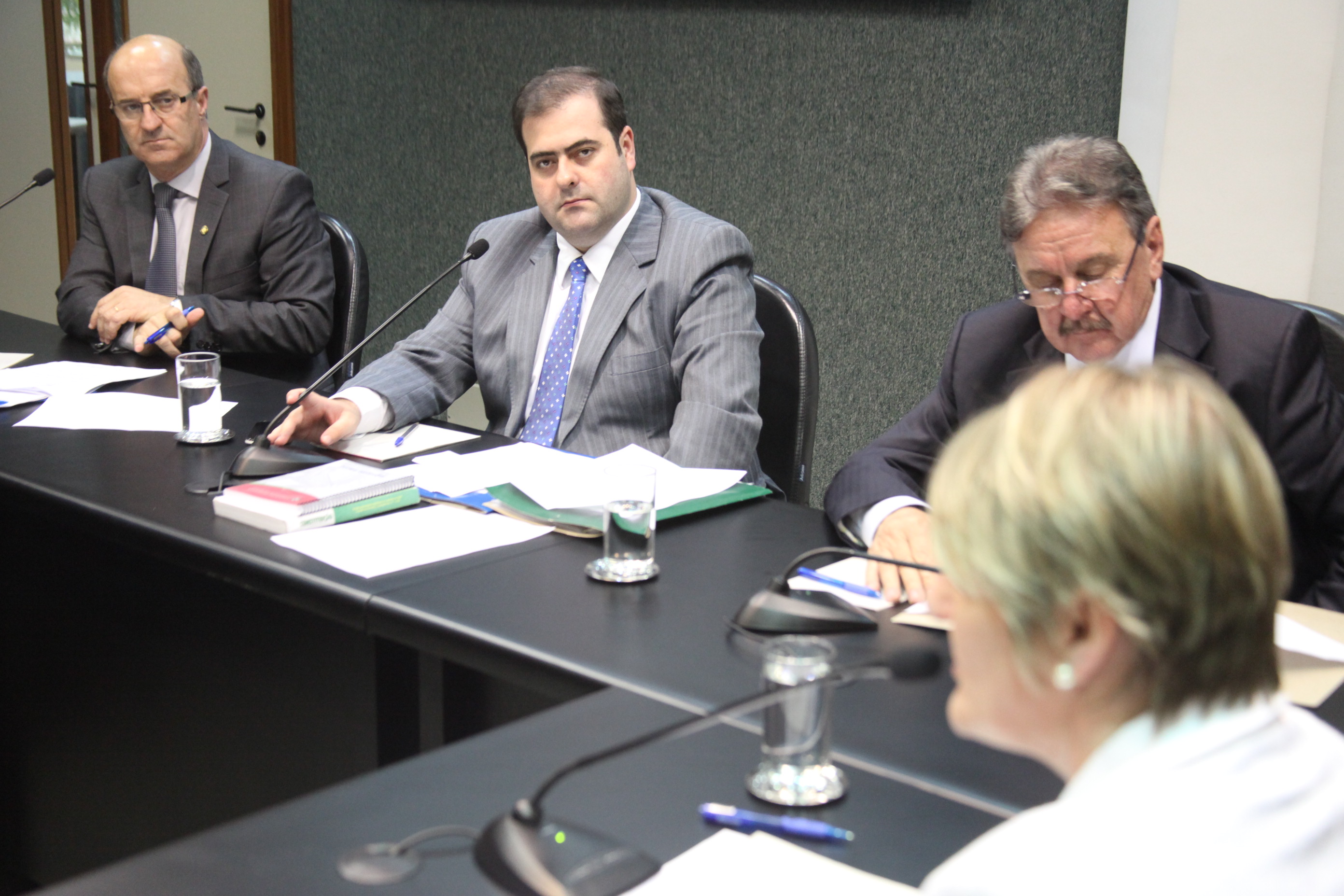Reunião da Comissão de Agricultura. Foto: Fábio Queiroz / Agência AL
