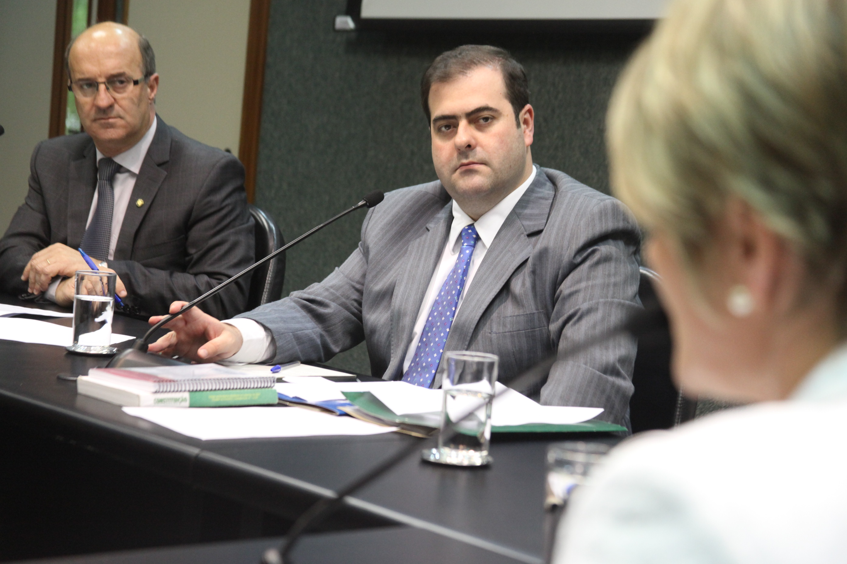Reunião da Comissão de Agricultura. Foto: Fábio Queiroz / Agência AL