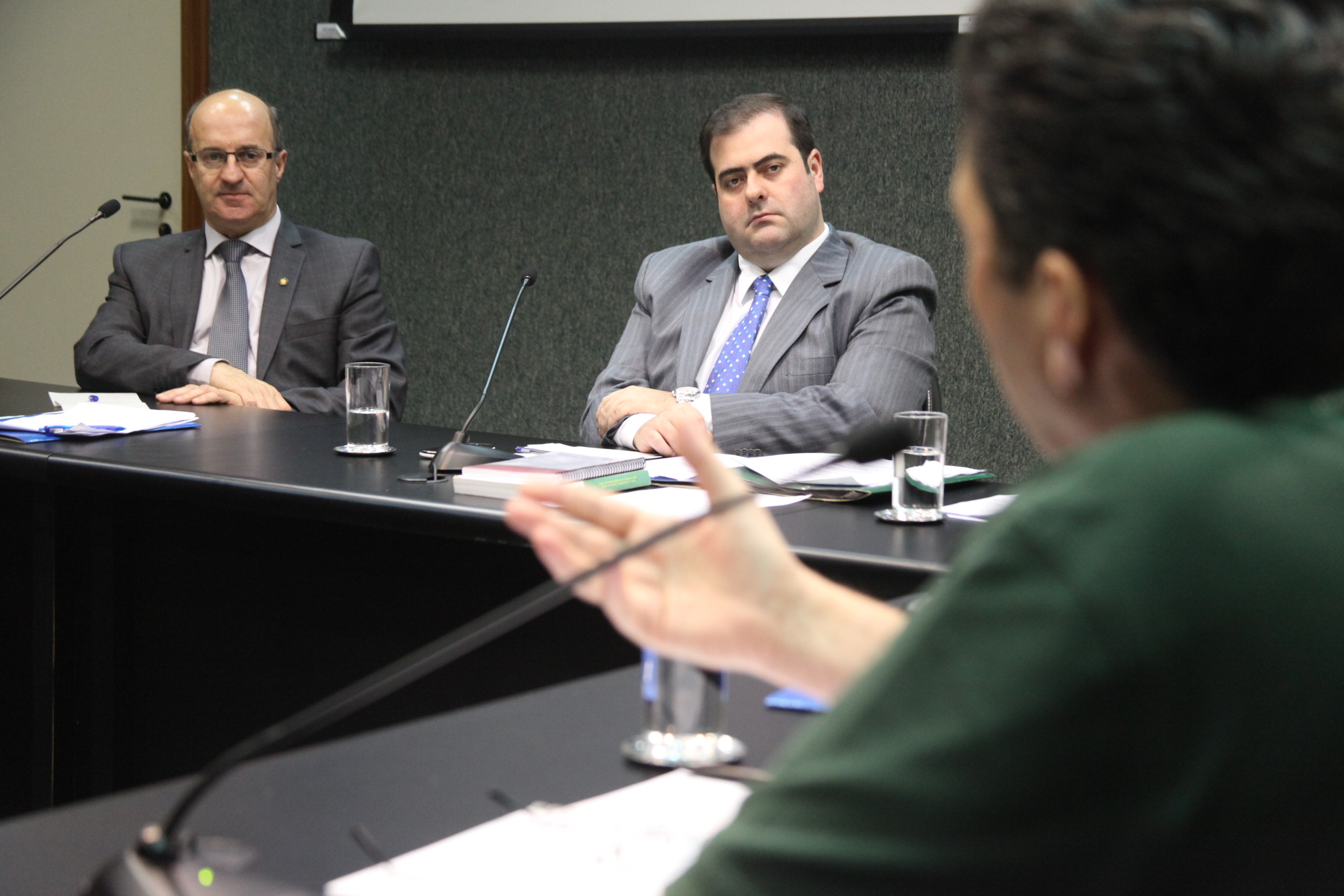 Reunião da Comissão de Agricultura. Foto: Fábio Queiroz / Agência AL