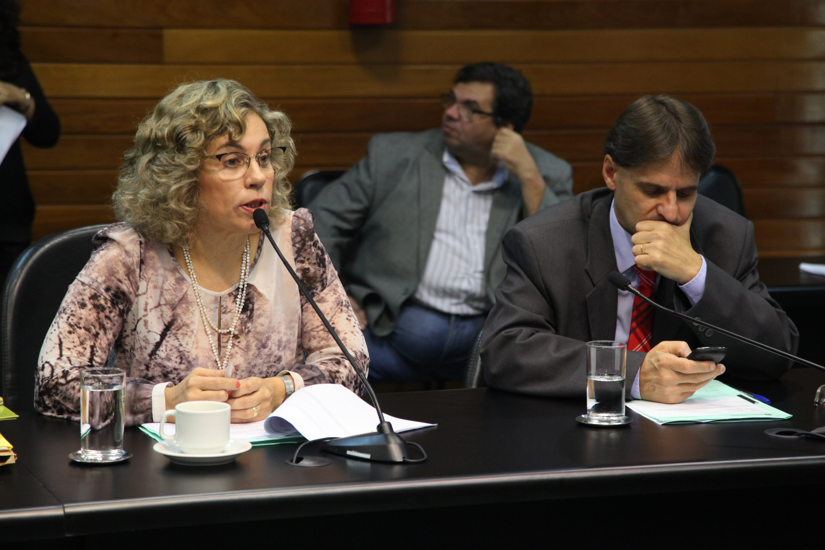 Comissão de Constituição de Justiça - Foto: Juliana Stadnik / Agência AL