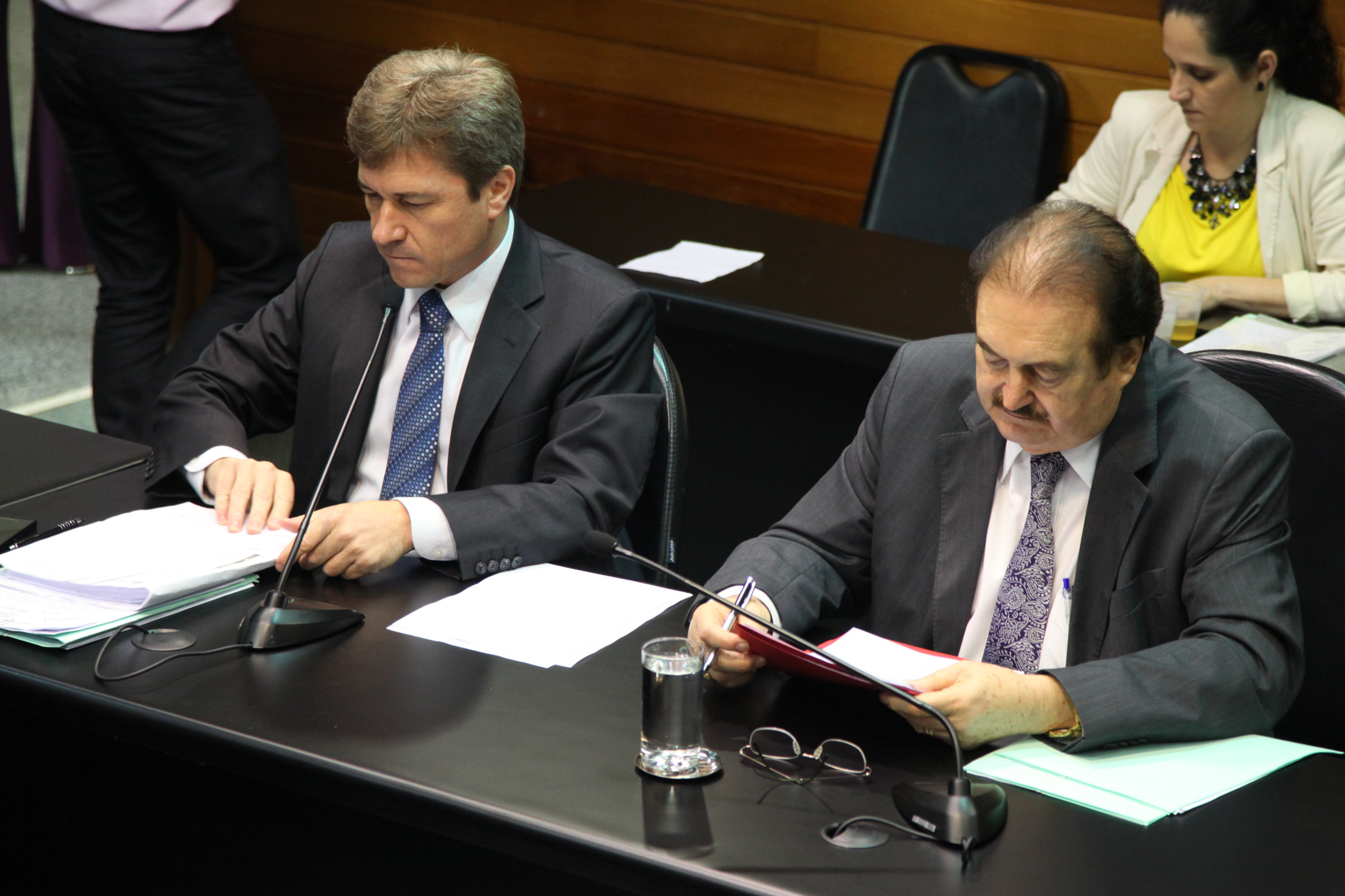 Comissão de Constituição de Justiça - Foto: Juliana Stadnik / Agência AL