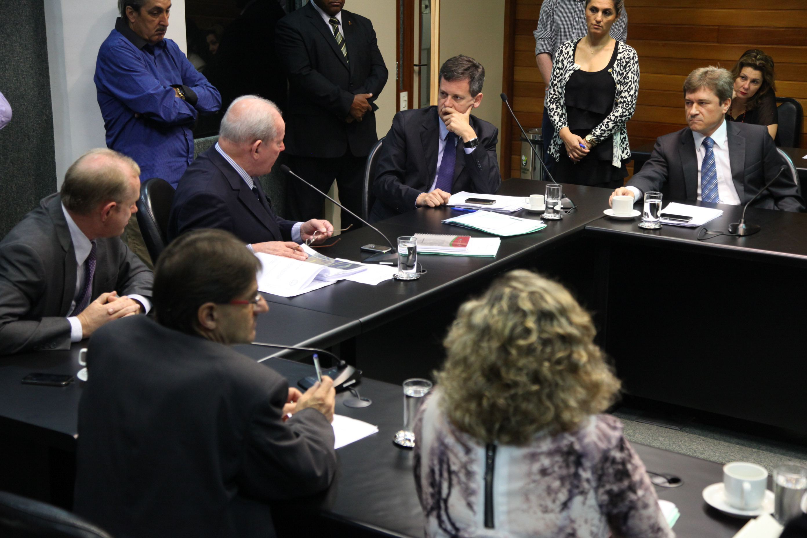 Comissão de Constituição de Justiça - Foto: Juliana Stadnik / Agência AL