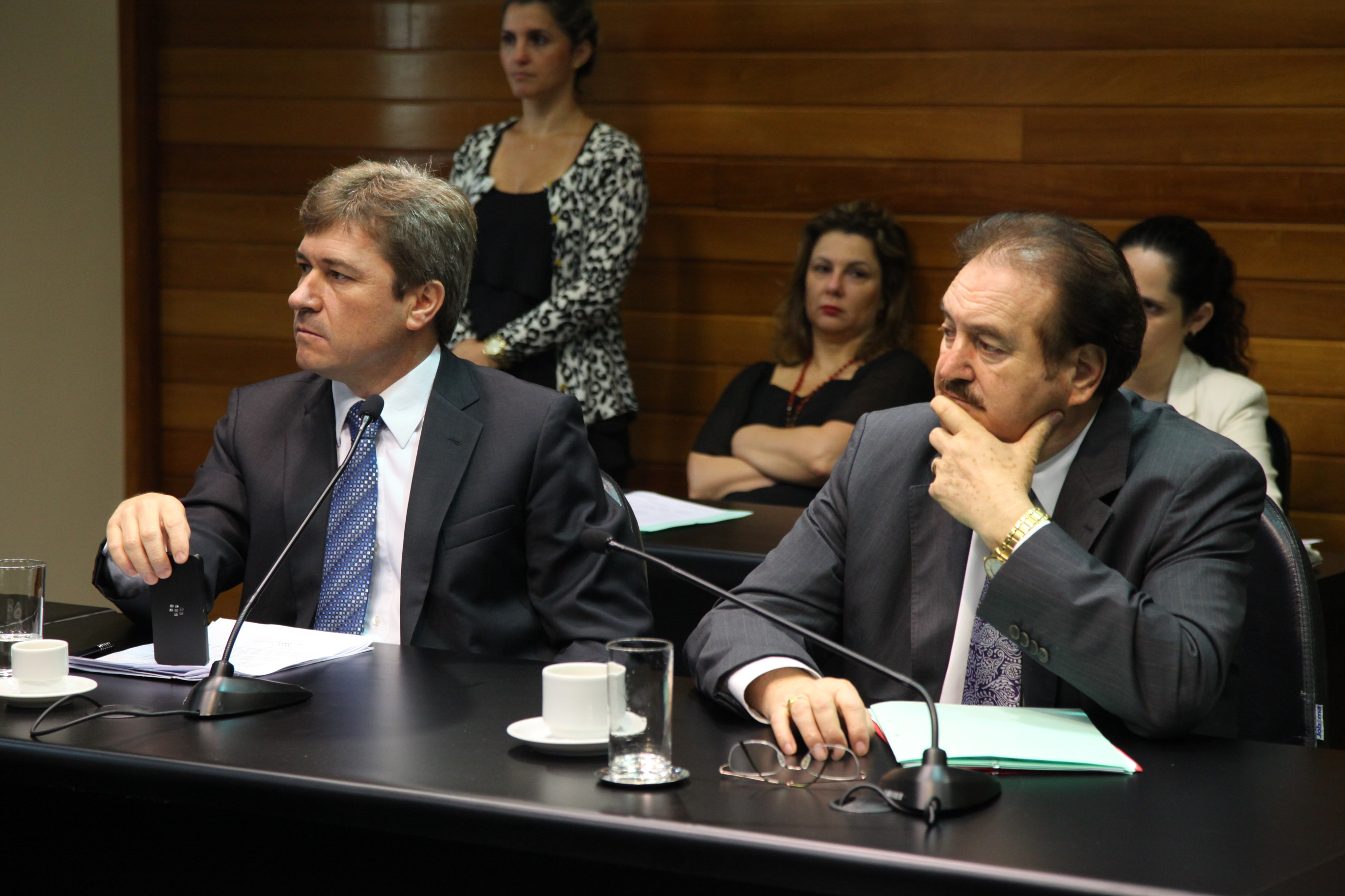 Comissão de Constituição de Justiça - Foto: Juliana Stadnik / Agência AL