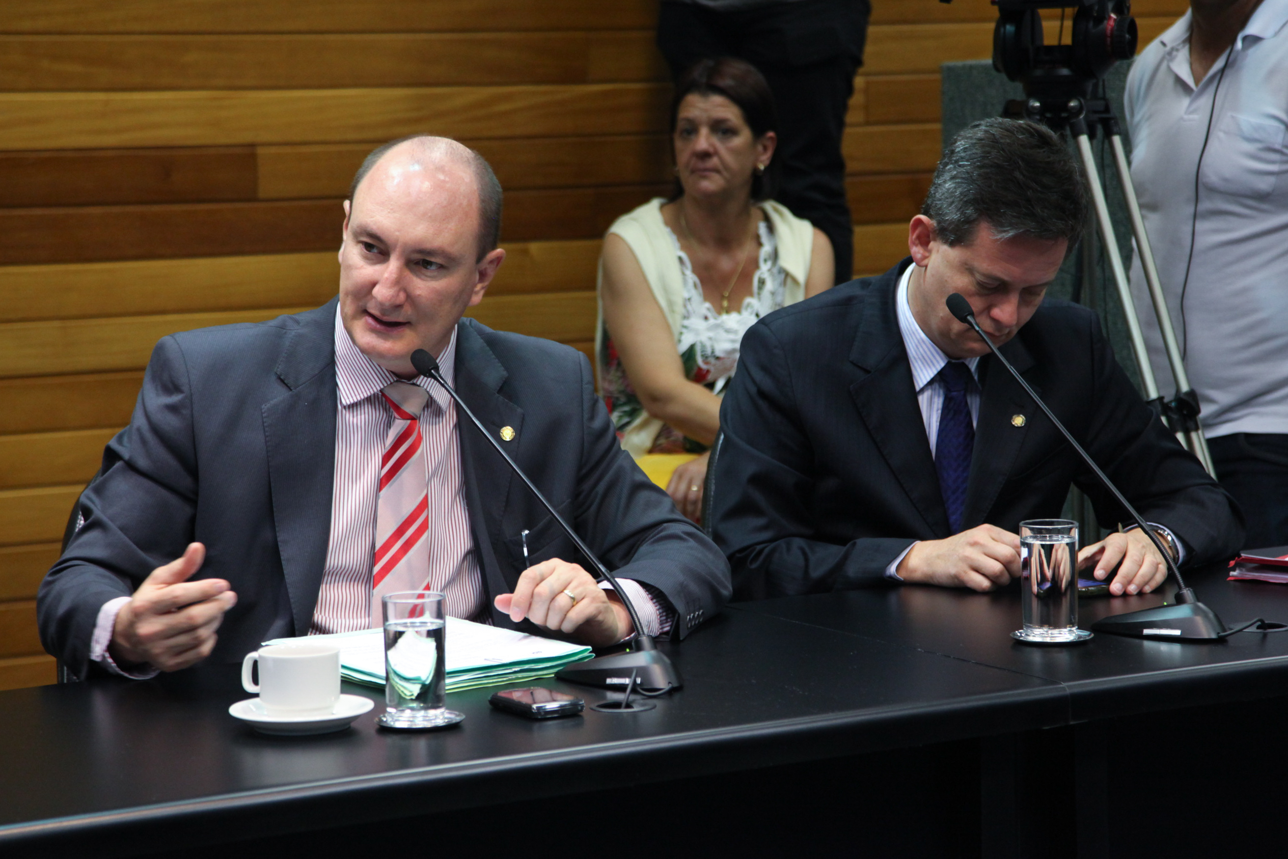 Comissão de Constituição de Justiça - Foto: Juliana Stadnik / Agência AL