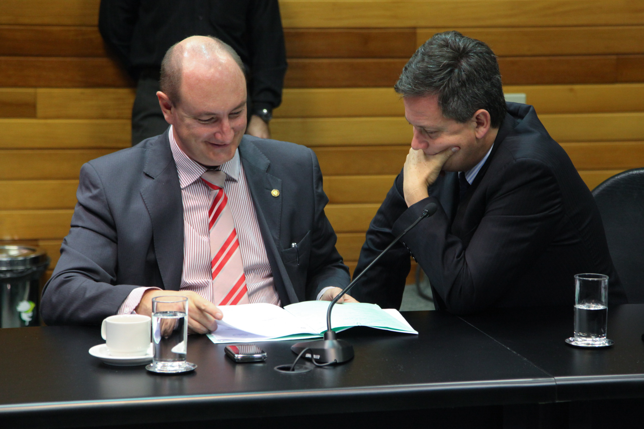 Comissão de Constituição de Justiça - Foto: Juliana Stadnik / Agência AL
