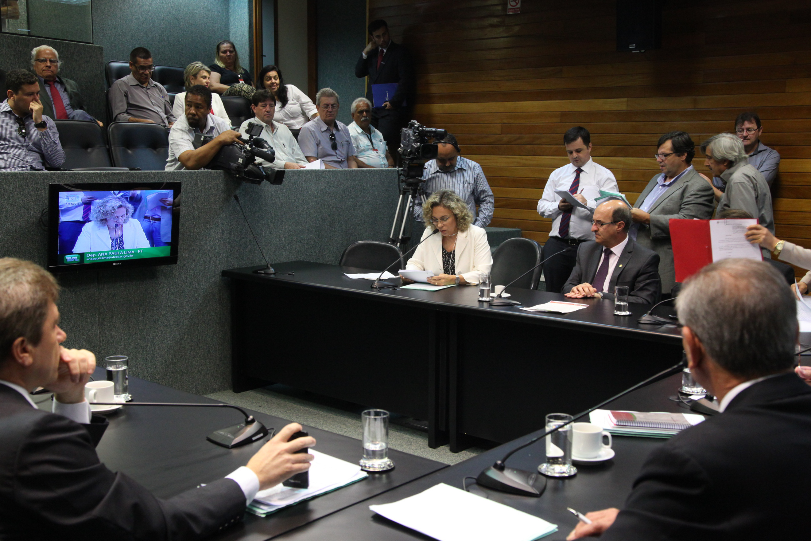 Comissão de Constituição de Justiça - Foto: Juliana Stadnik / Agência AL